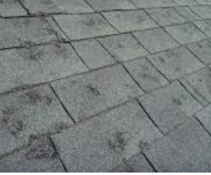 Agape Building & Development, Llc