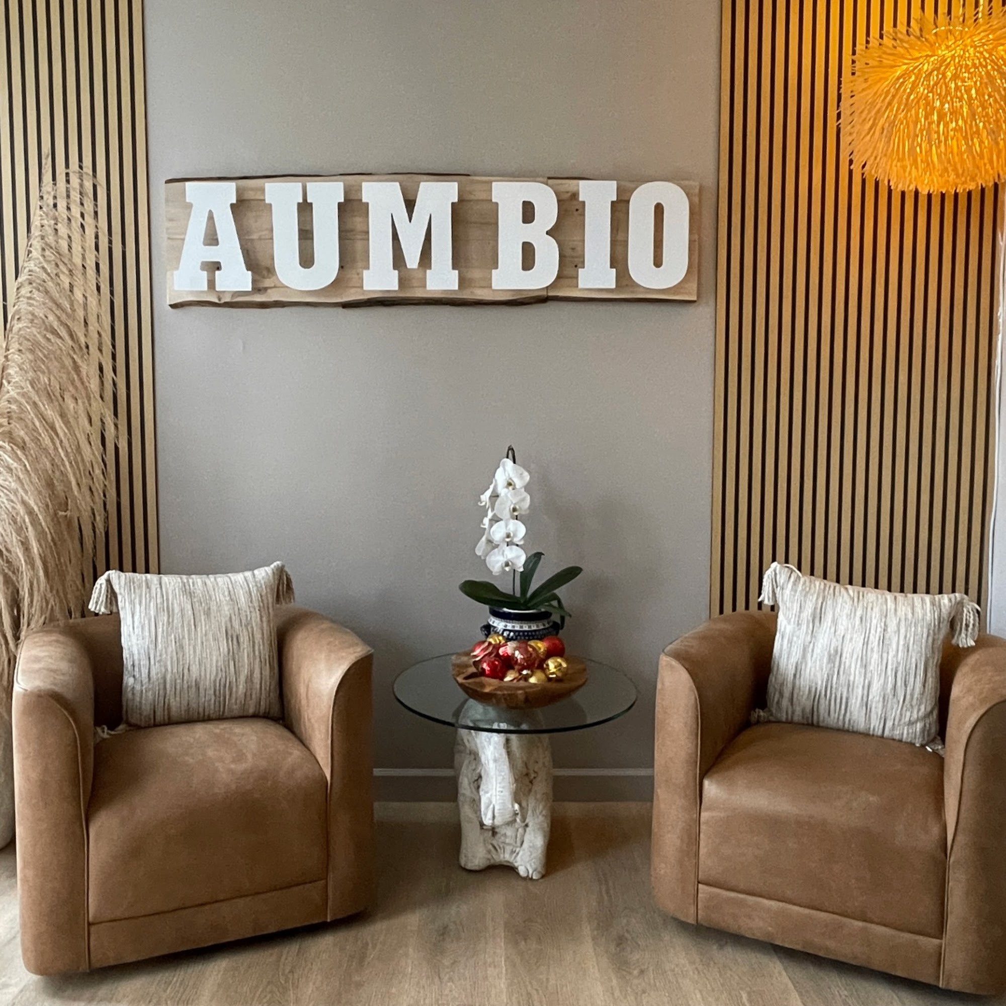 Aumbio Wellness Center - Rolling Meadows 1645 Hicks Rd Unit K, Rolling Meadows Illinois 60008