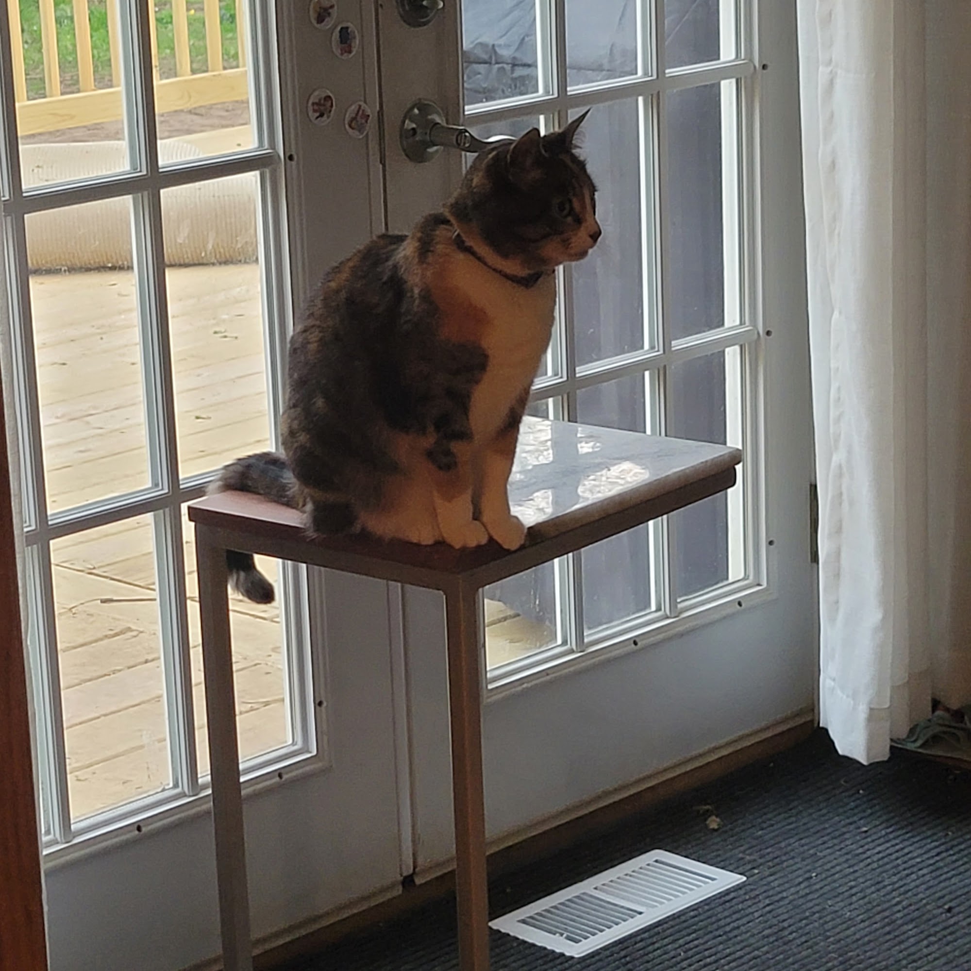 Roscoe Veterinary Clinic Roscoe