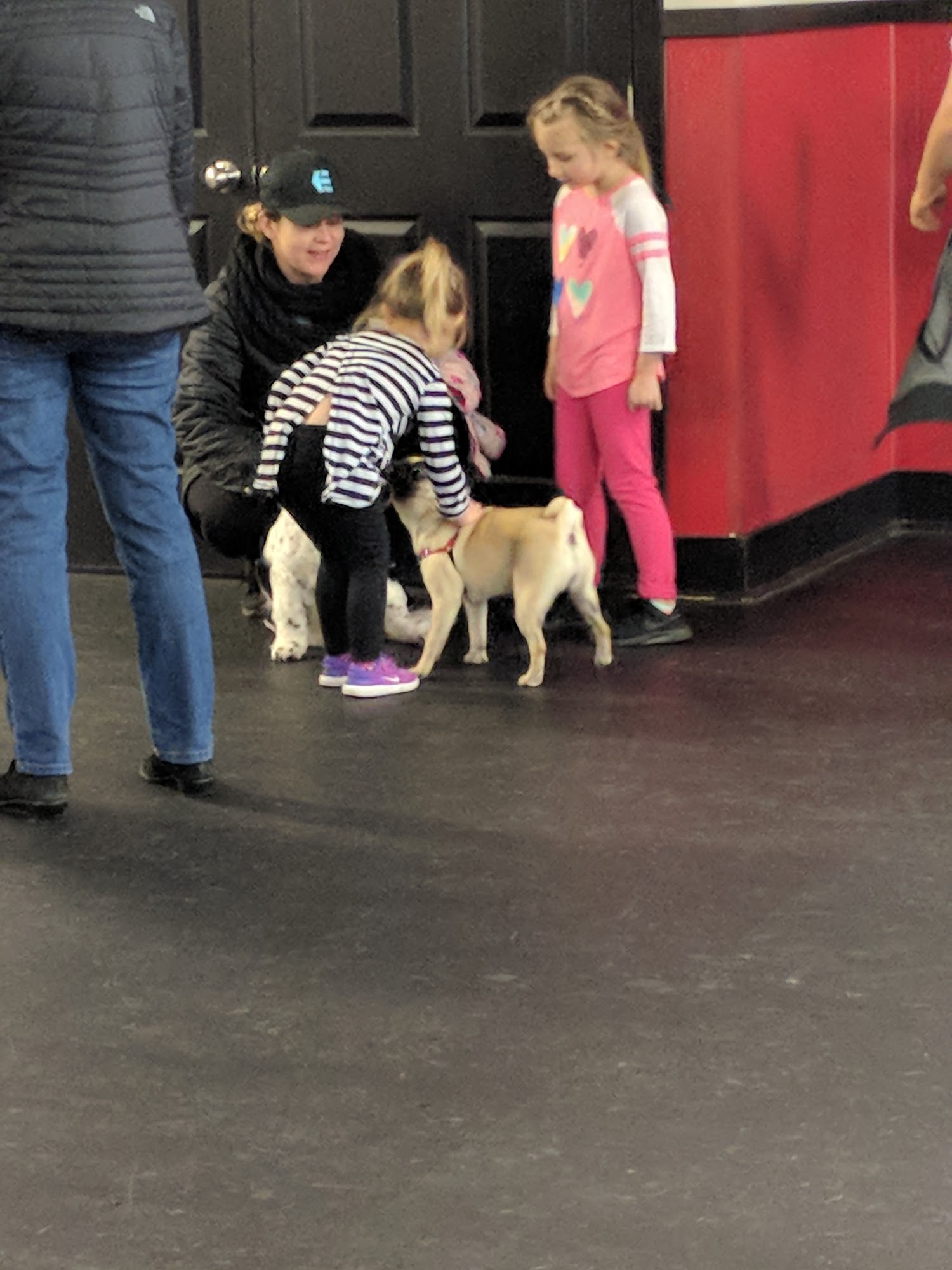 Pals for Pups Roselle