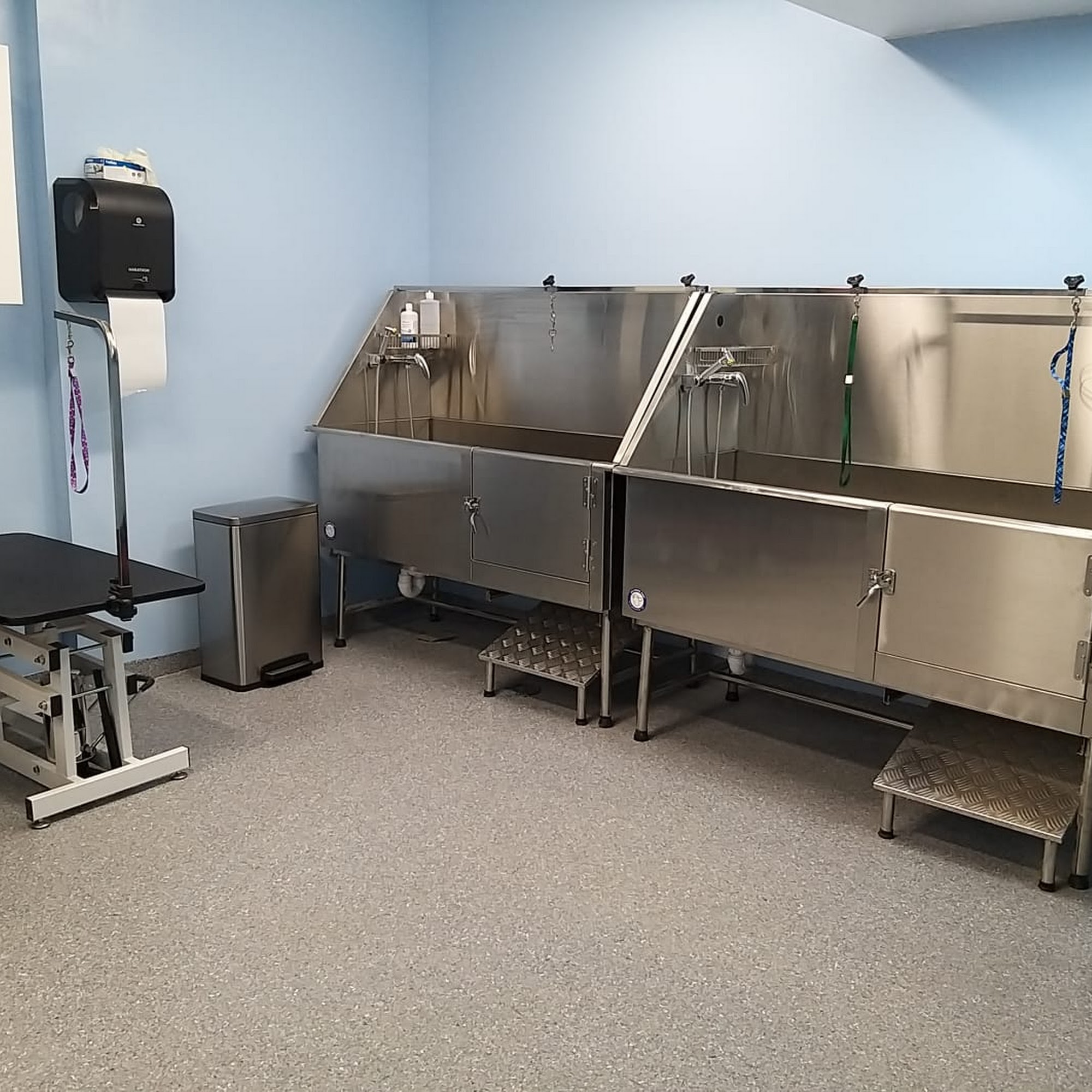 Doggy Days Round Lake Beach