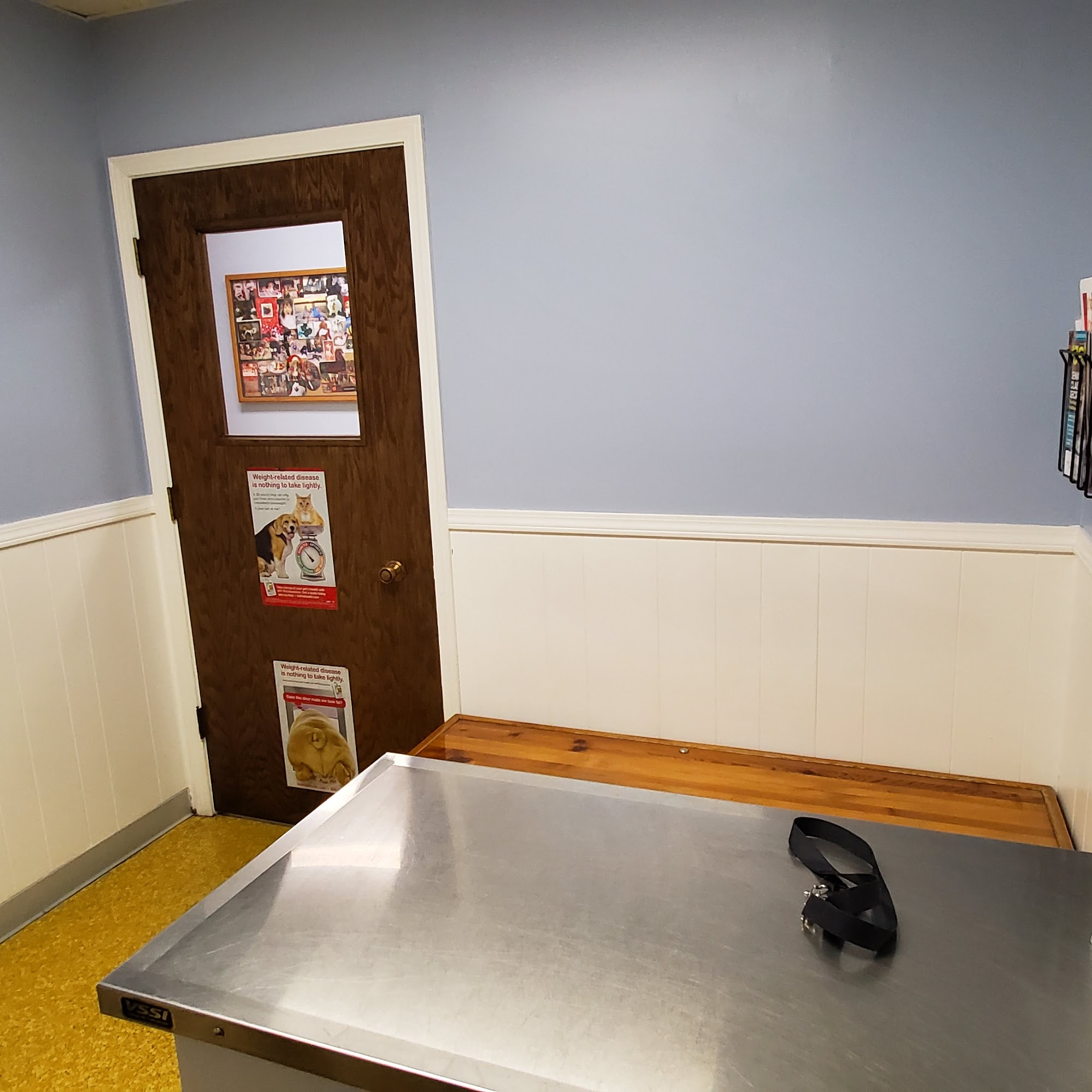 Spring Valley Veterinary Clinic Schaumburg