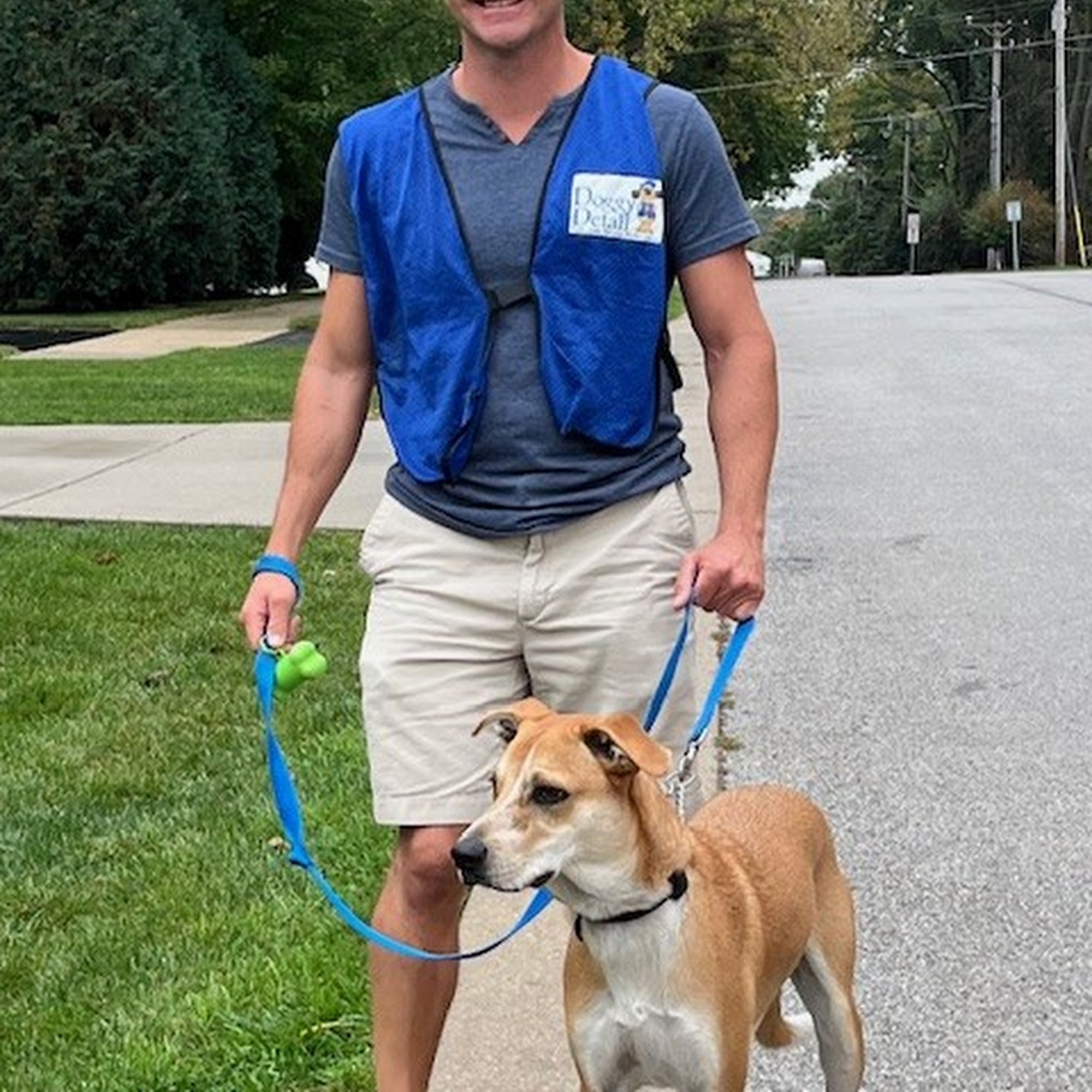 Doggy Detail - Dog Poop Waste Removal - Pet Sitter - Dog Walker Services Schaumburg