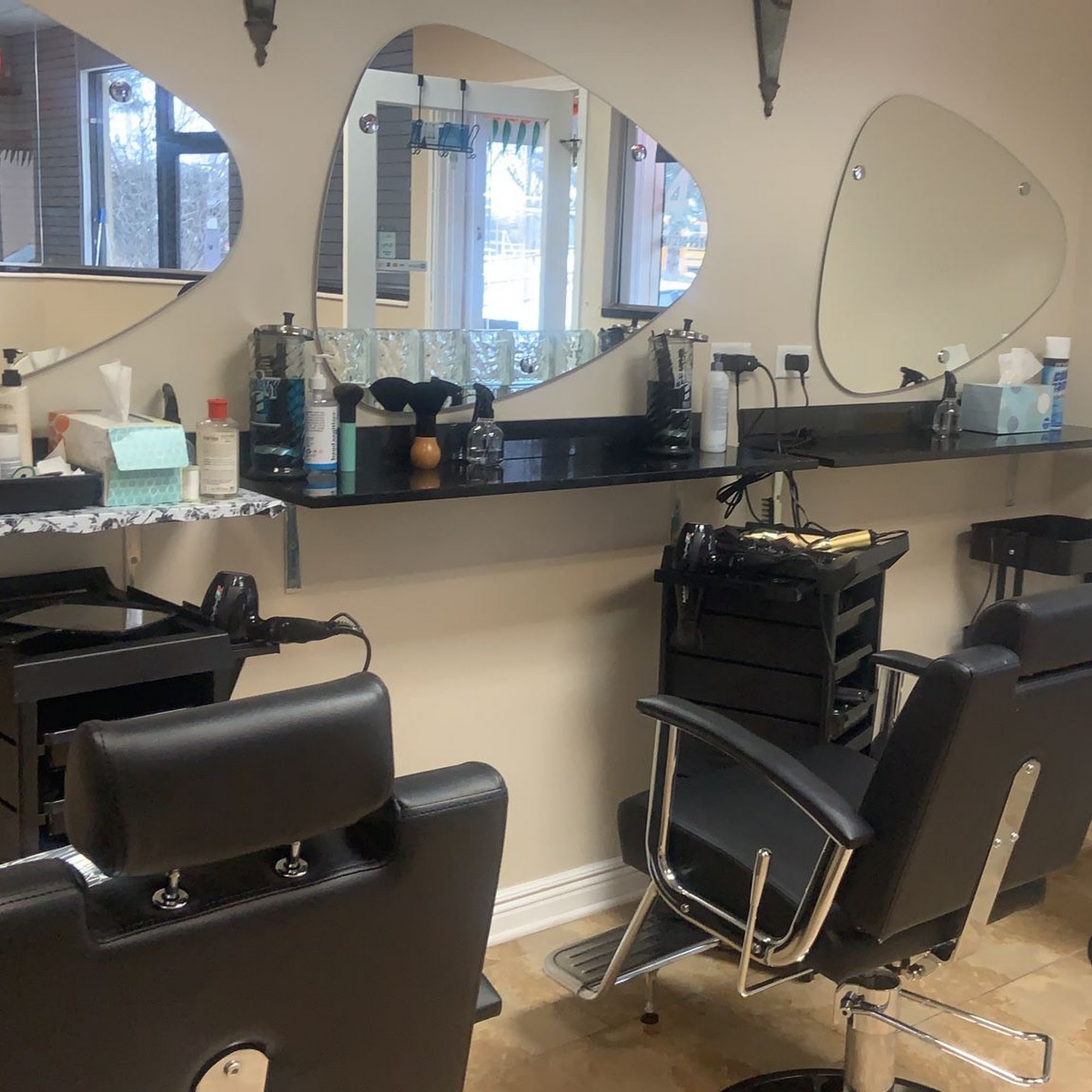 Redians Hair & Beauty Salon 416 W Higgins Rd, Schaumburg Illinois 60195