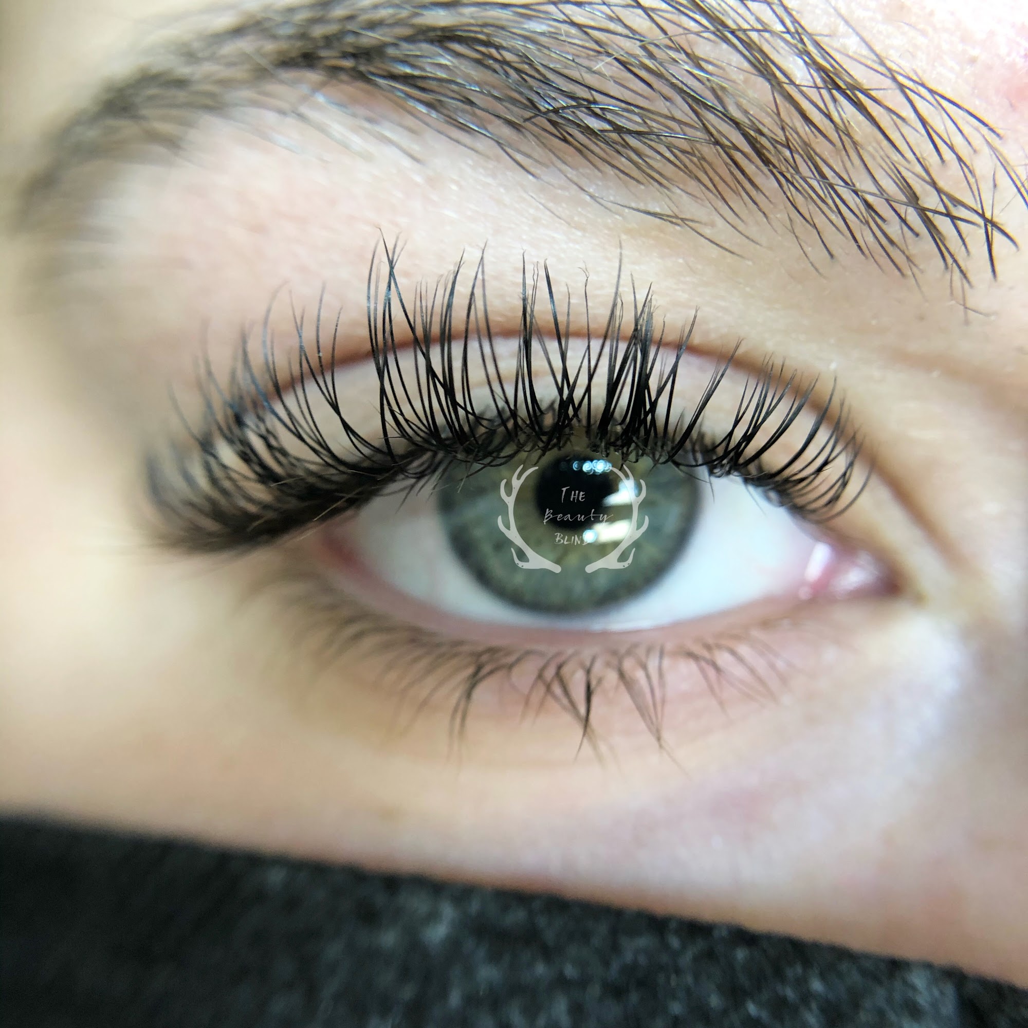 The Beauty Blind 125 Main St, Sherman Illinois 62684