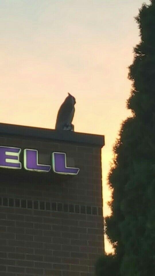 Photo credit: nextdoor