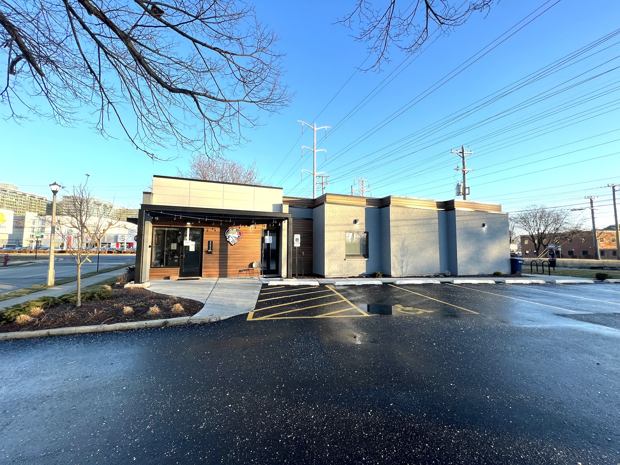 Companion Skokie Skokie