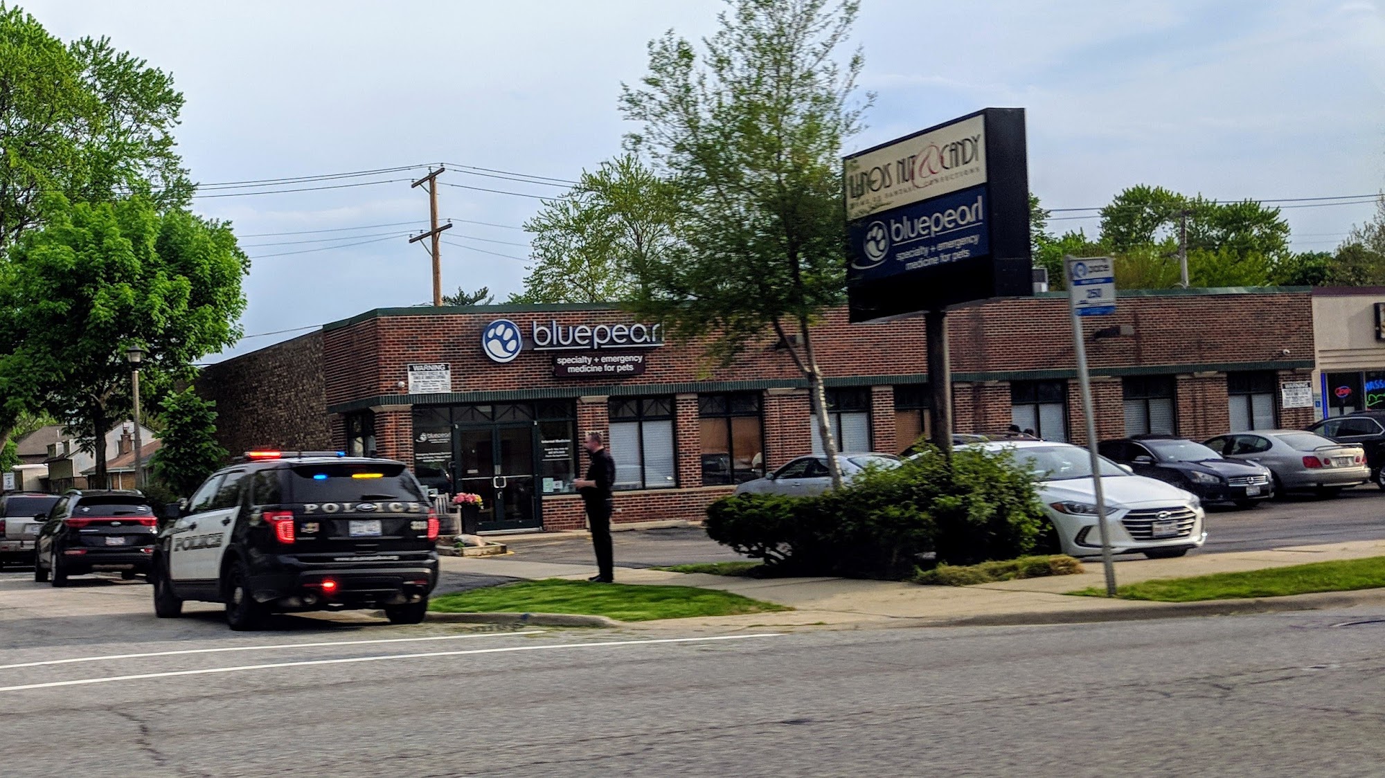 BluePearl Pet Hospital Skokie