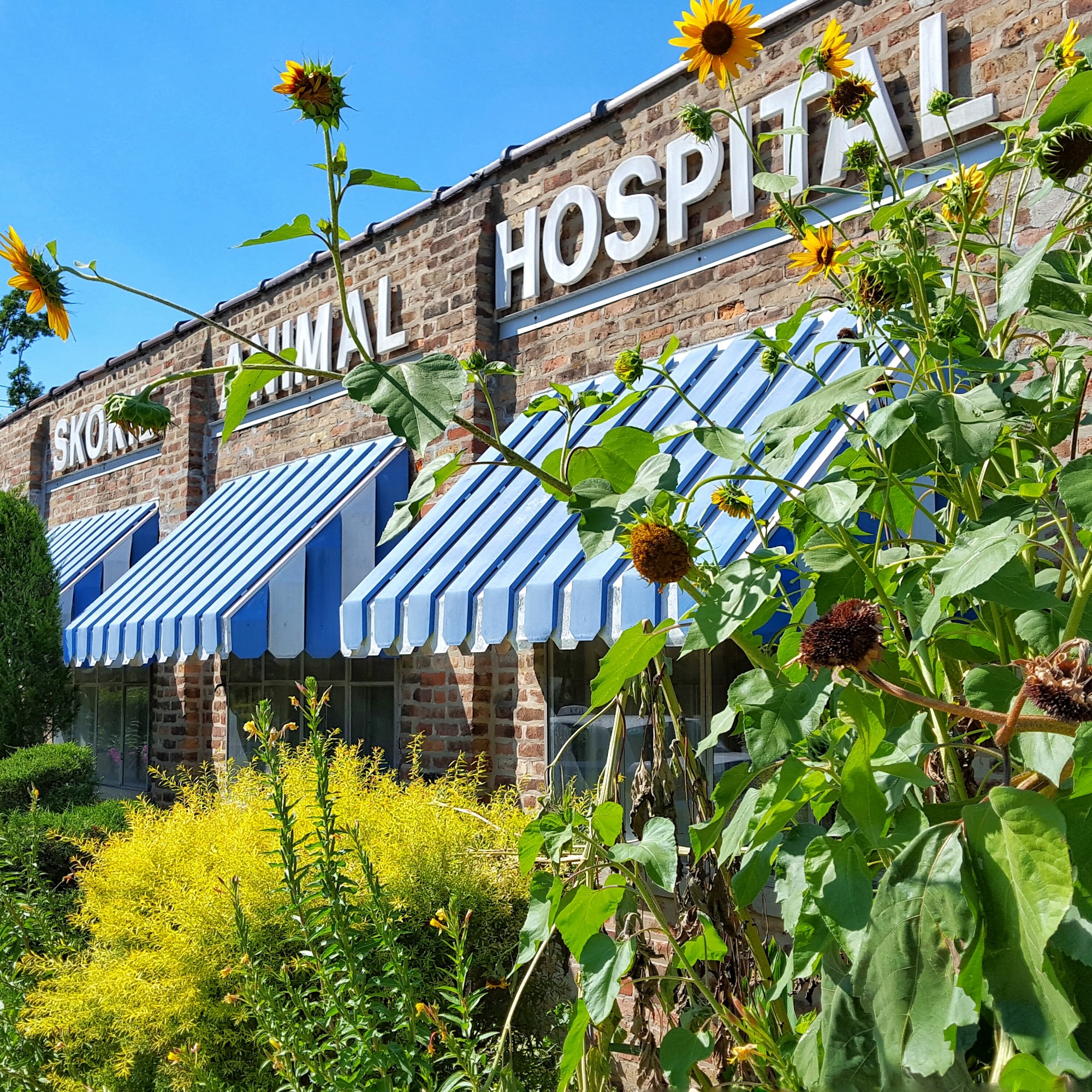 Skokie Animal Hospital Skokie
