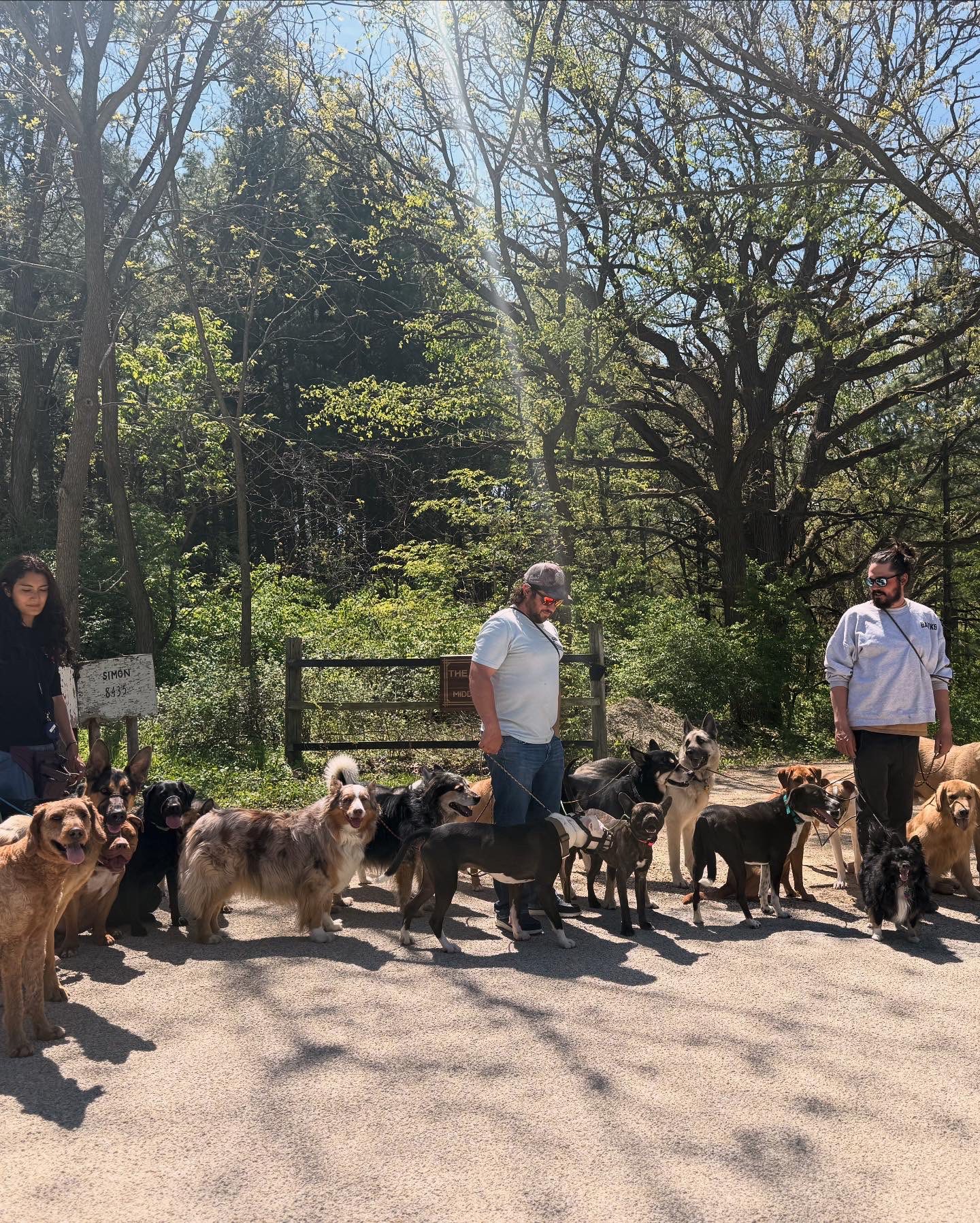 BA Professional K9 Training South Beloit