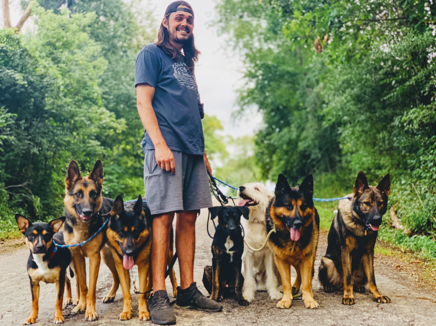 BA Professional K9 Training South Beloit