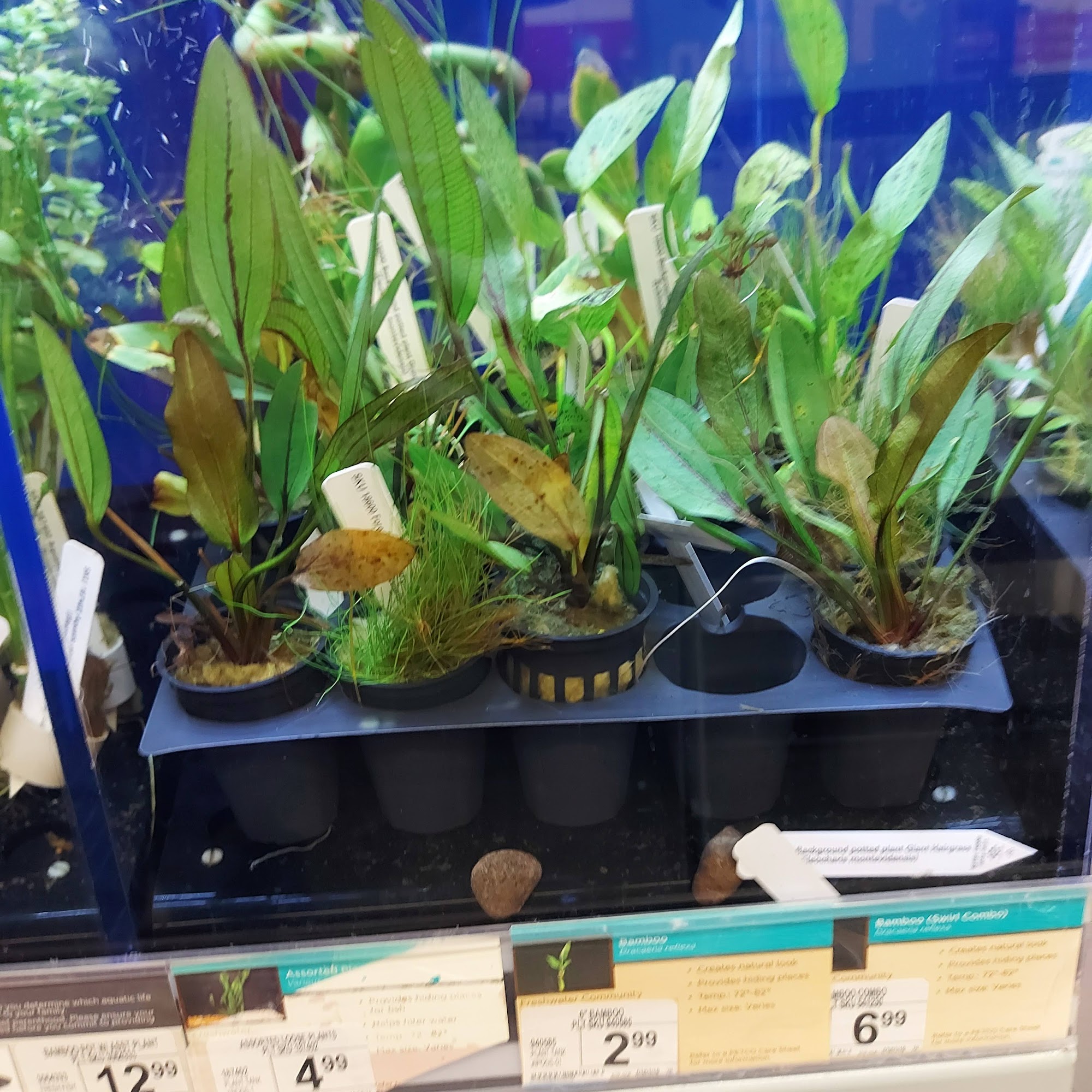Petco South Elgin