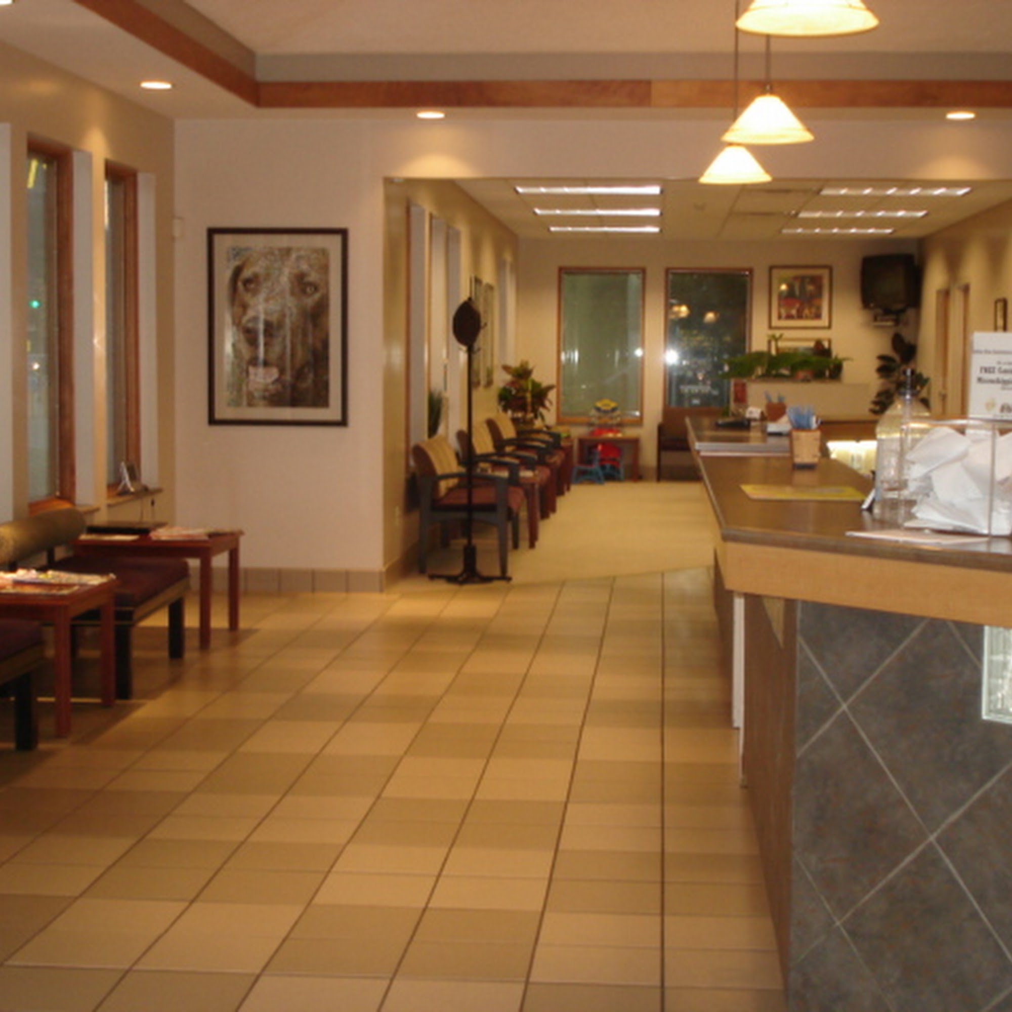 Laketown Animal Hospital Springfield