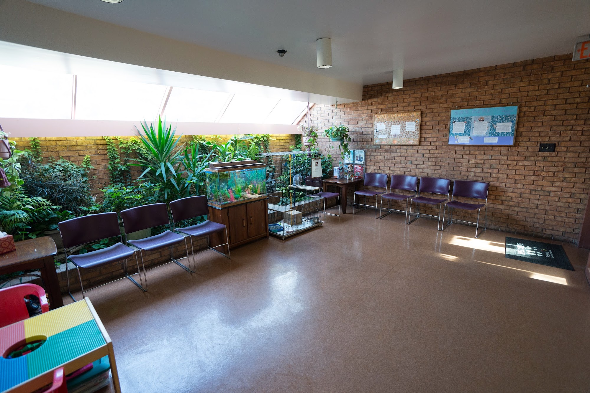 Brewer Animal Hospital Springfield