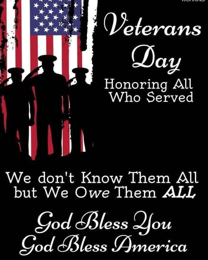 Excellent Carpet Cleaning Services