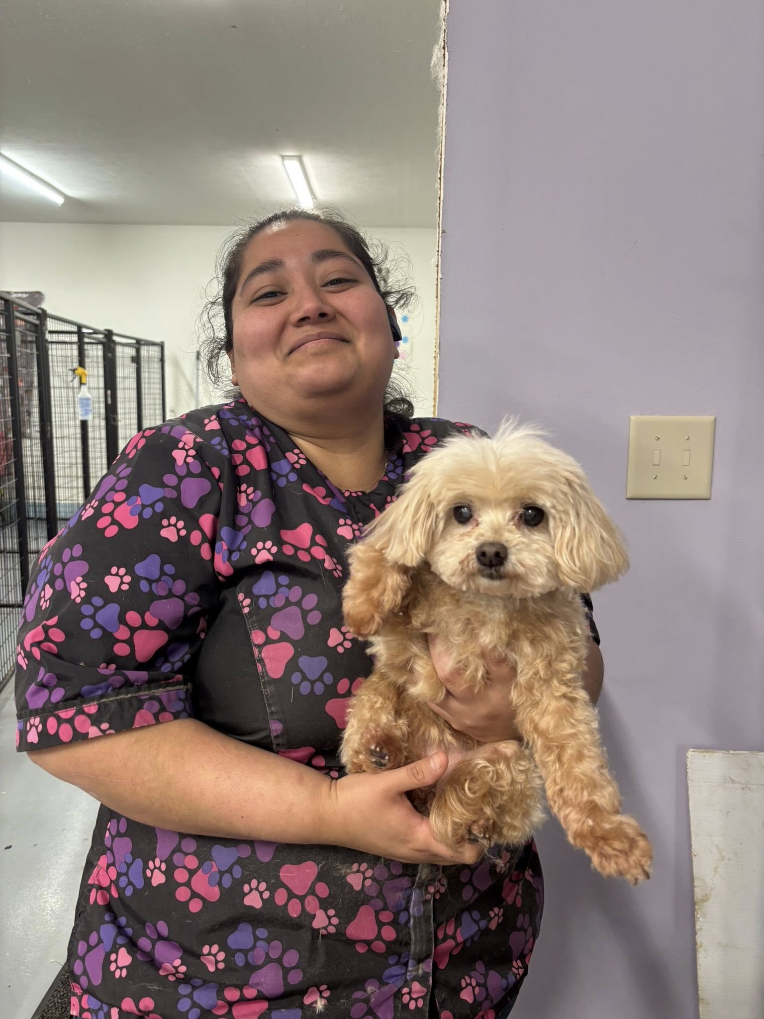 Suds N Pups Springfield