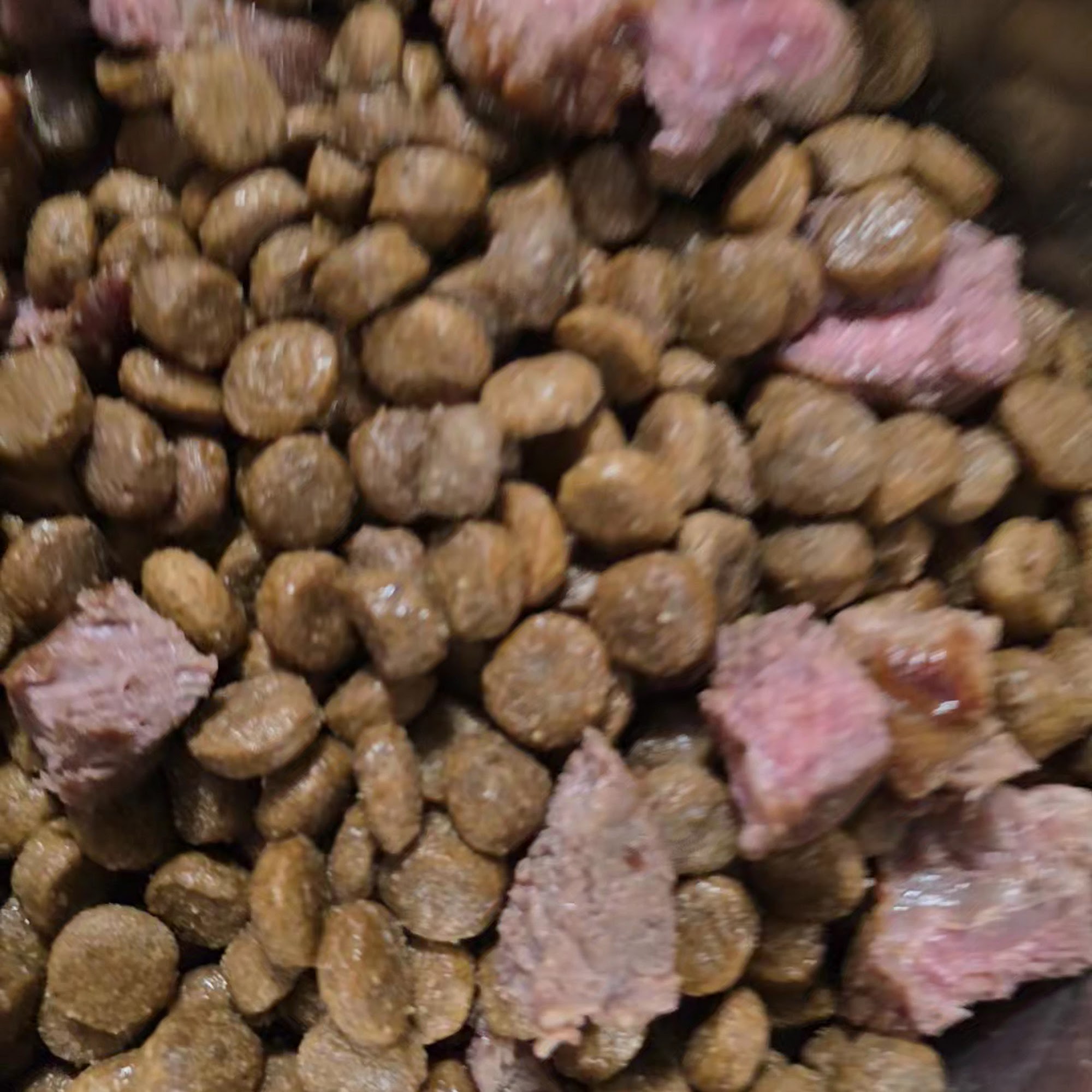 Pet Supplies Plus Springfield Springfield