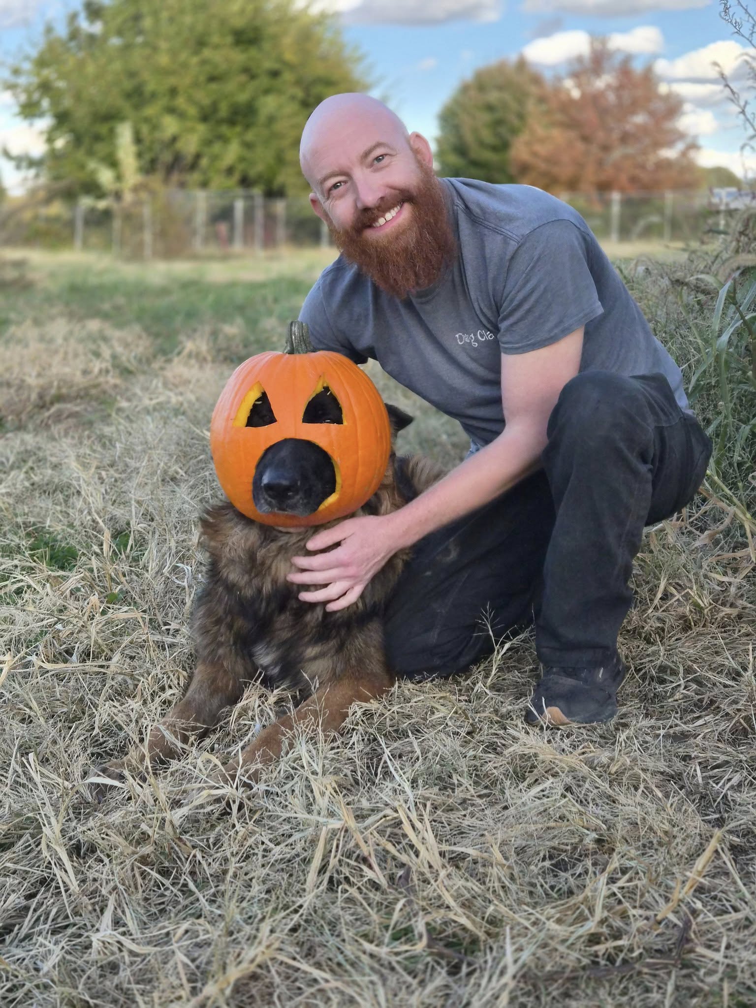 Dog Class Pro Dog Training Springfield