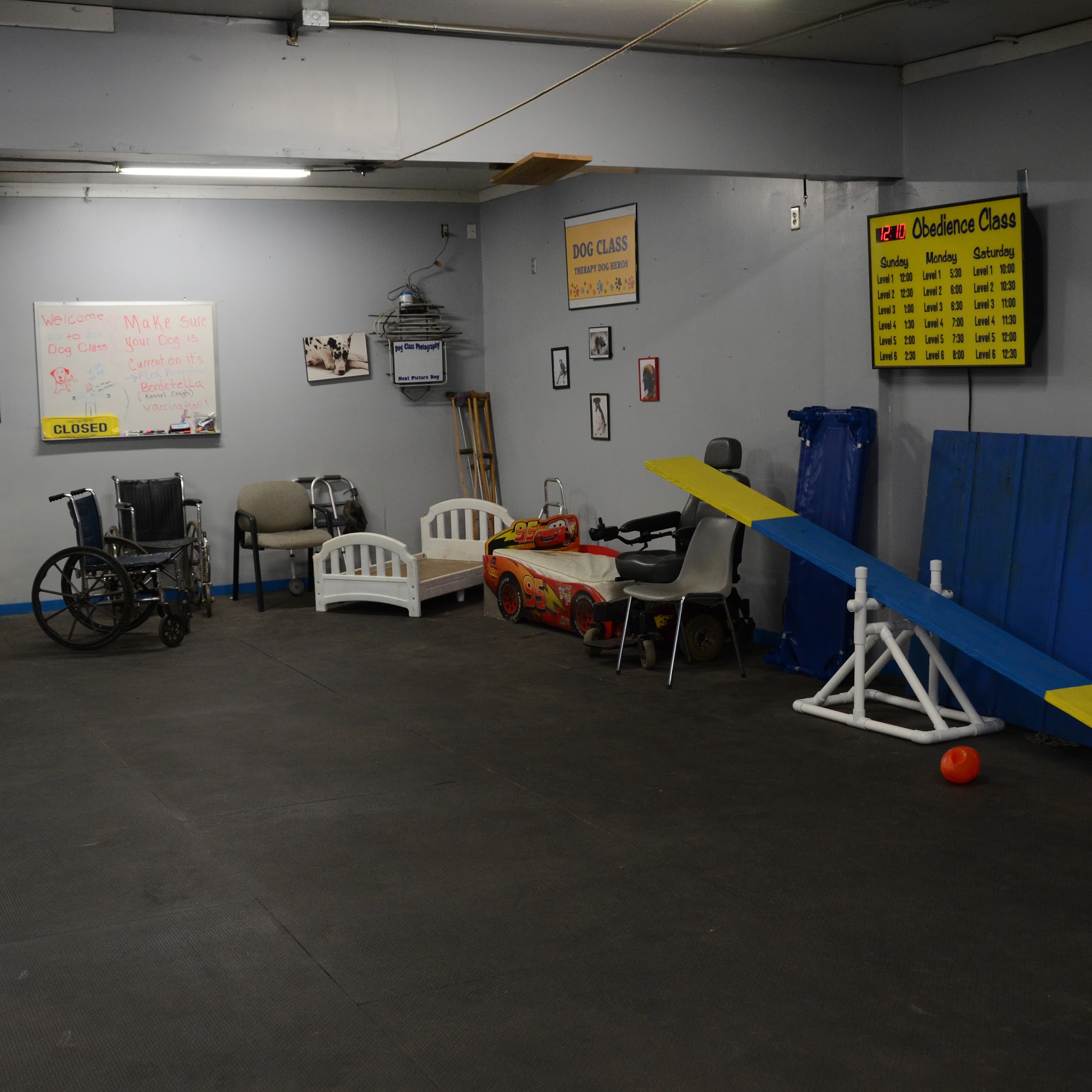 Dog Class Pro Dog Training Springfield