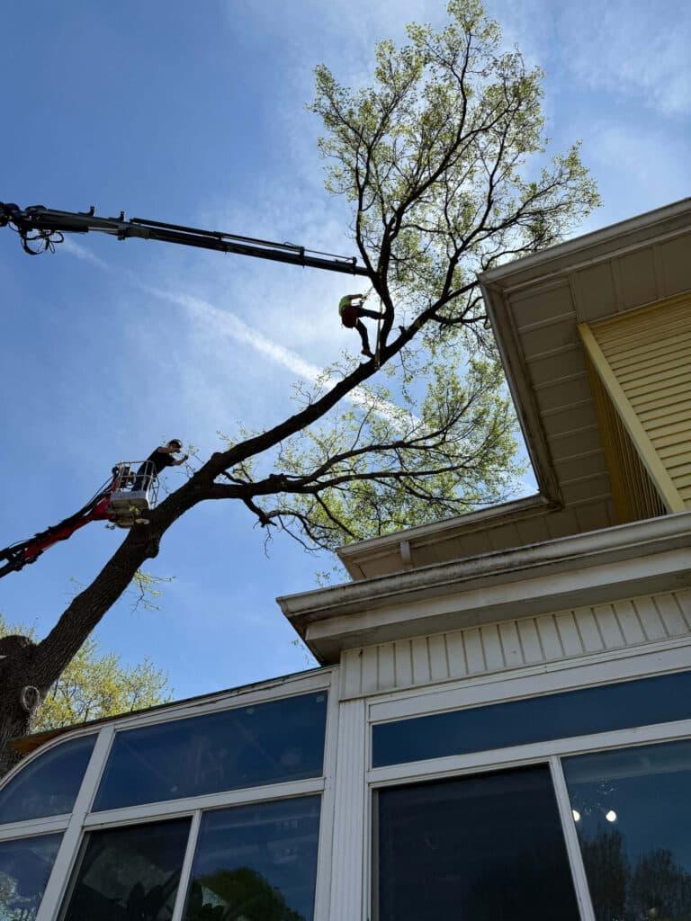 Photo credit: nextdoor