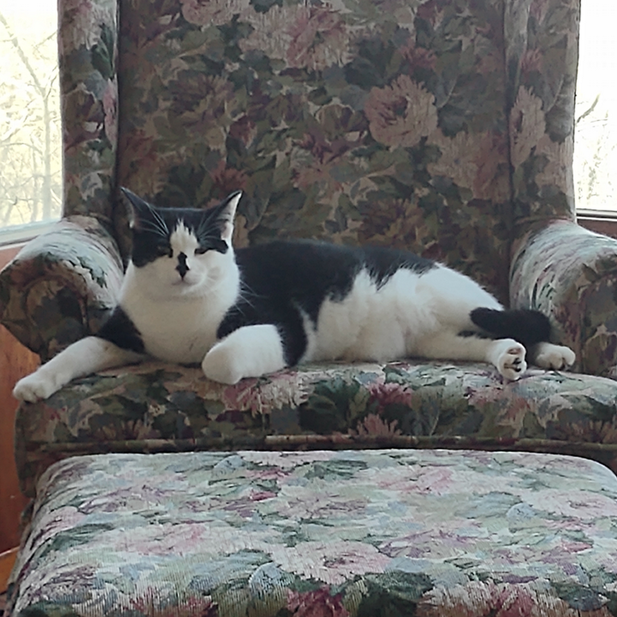 Dal Acres Motel & Salon