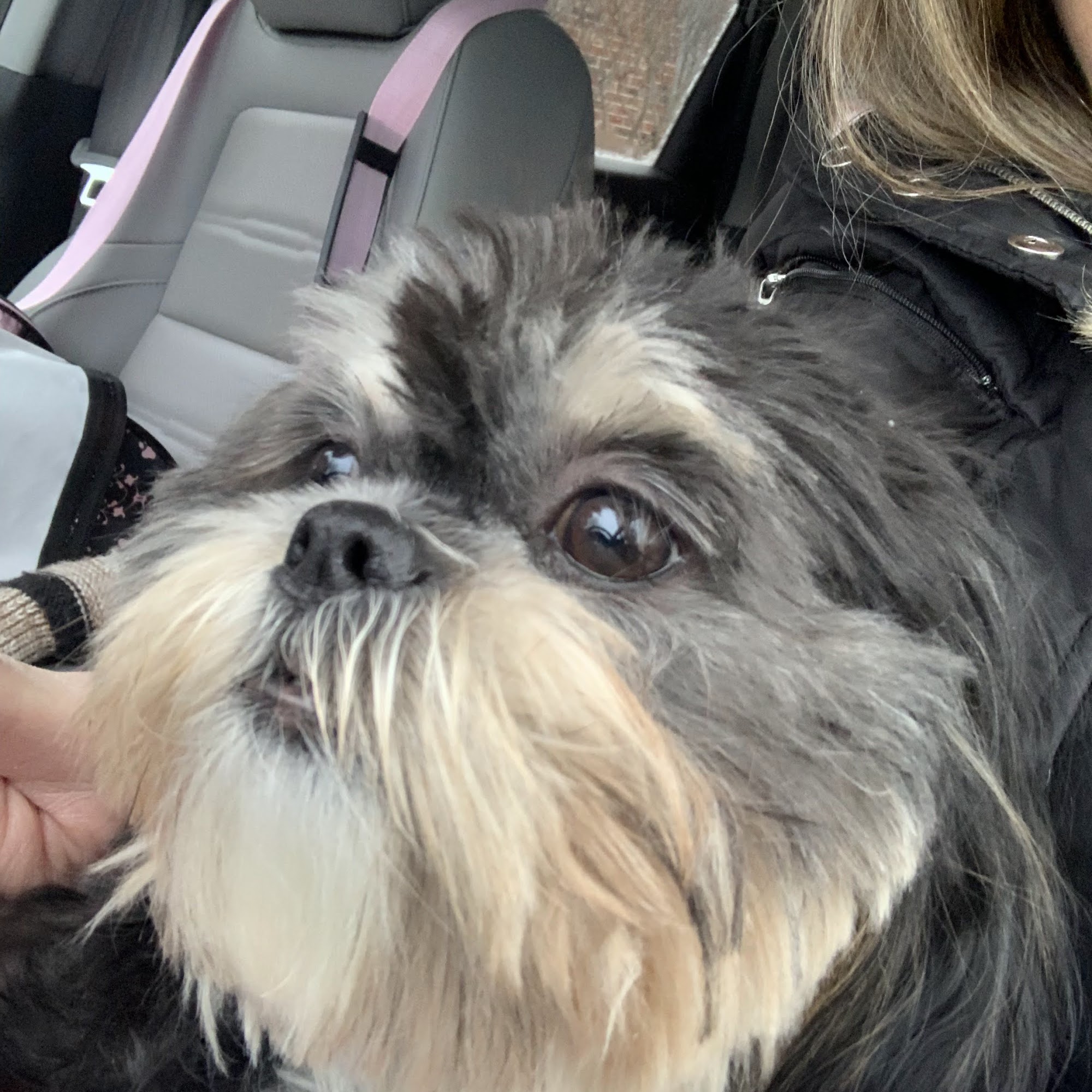 Gateway Veterinary Clinic St. Charles