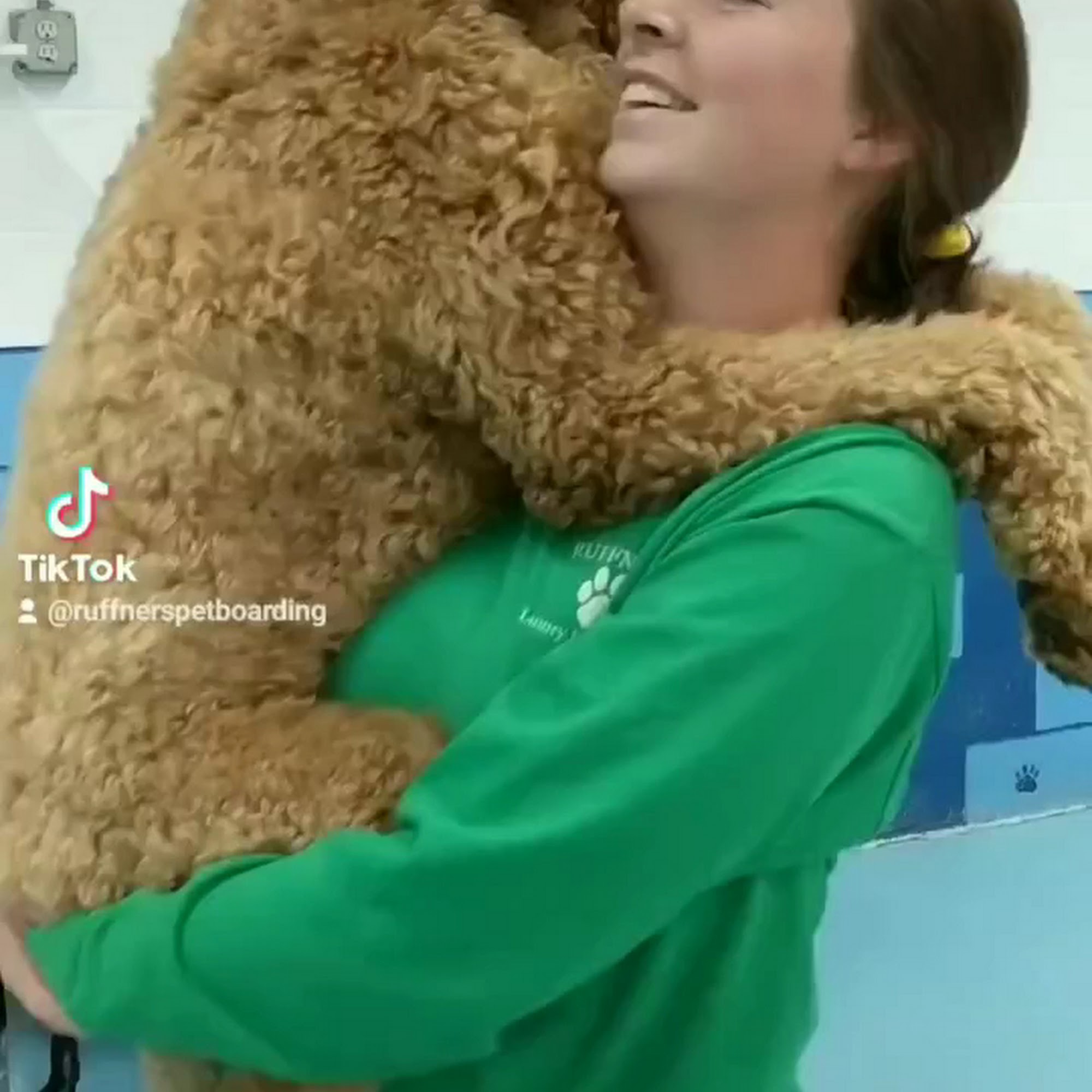 Ruffner's Luxury Pet Boarding St. Charles