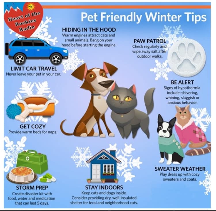 Clean as a Whisker St. Charles