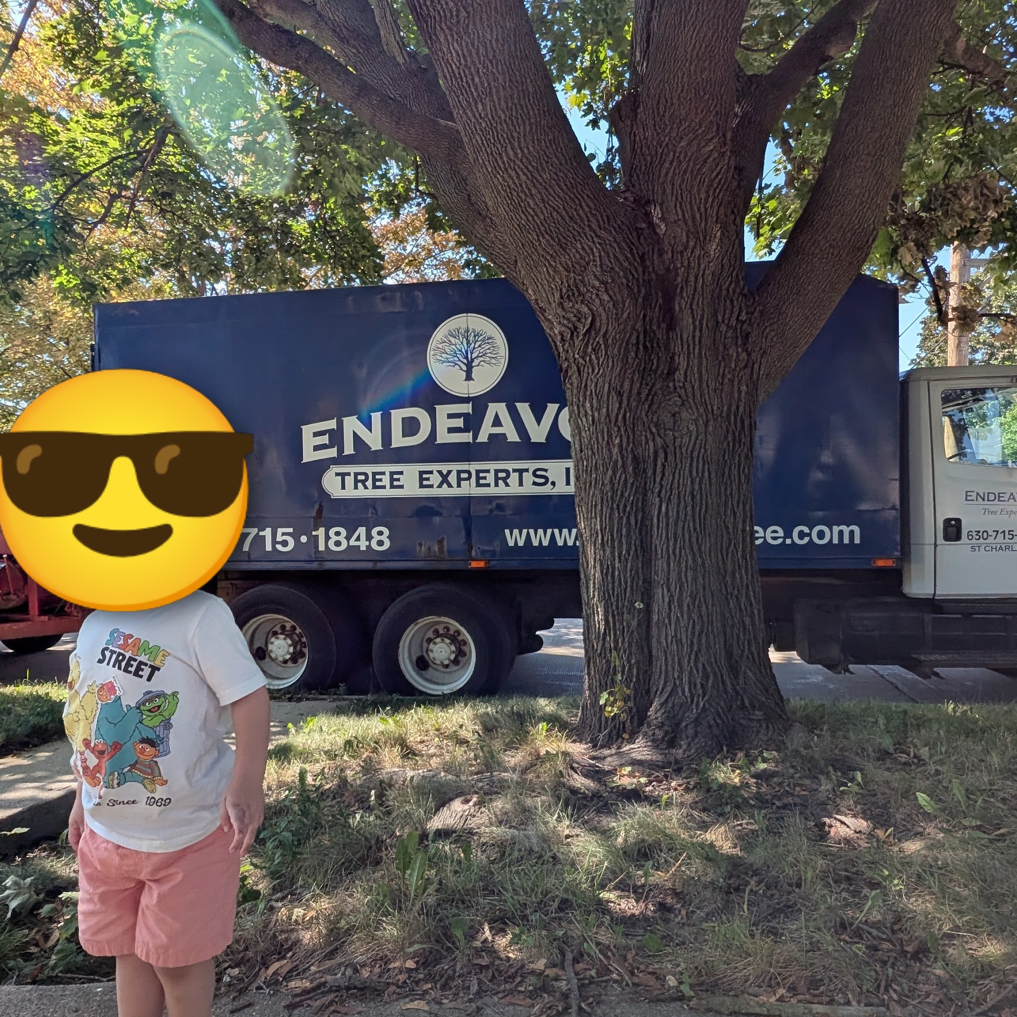 Endeavor Tree Experts