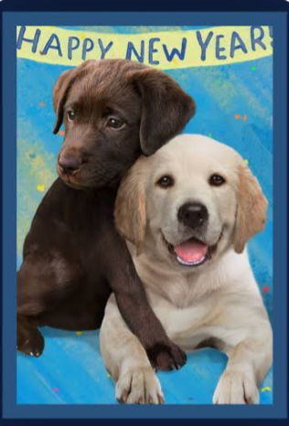 Clippin House Pet Resort & Salon Staunton