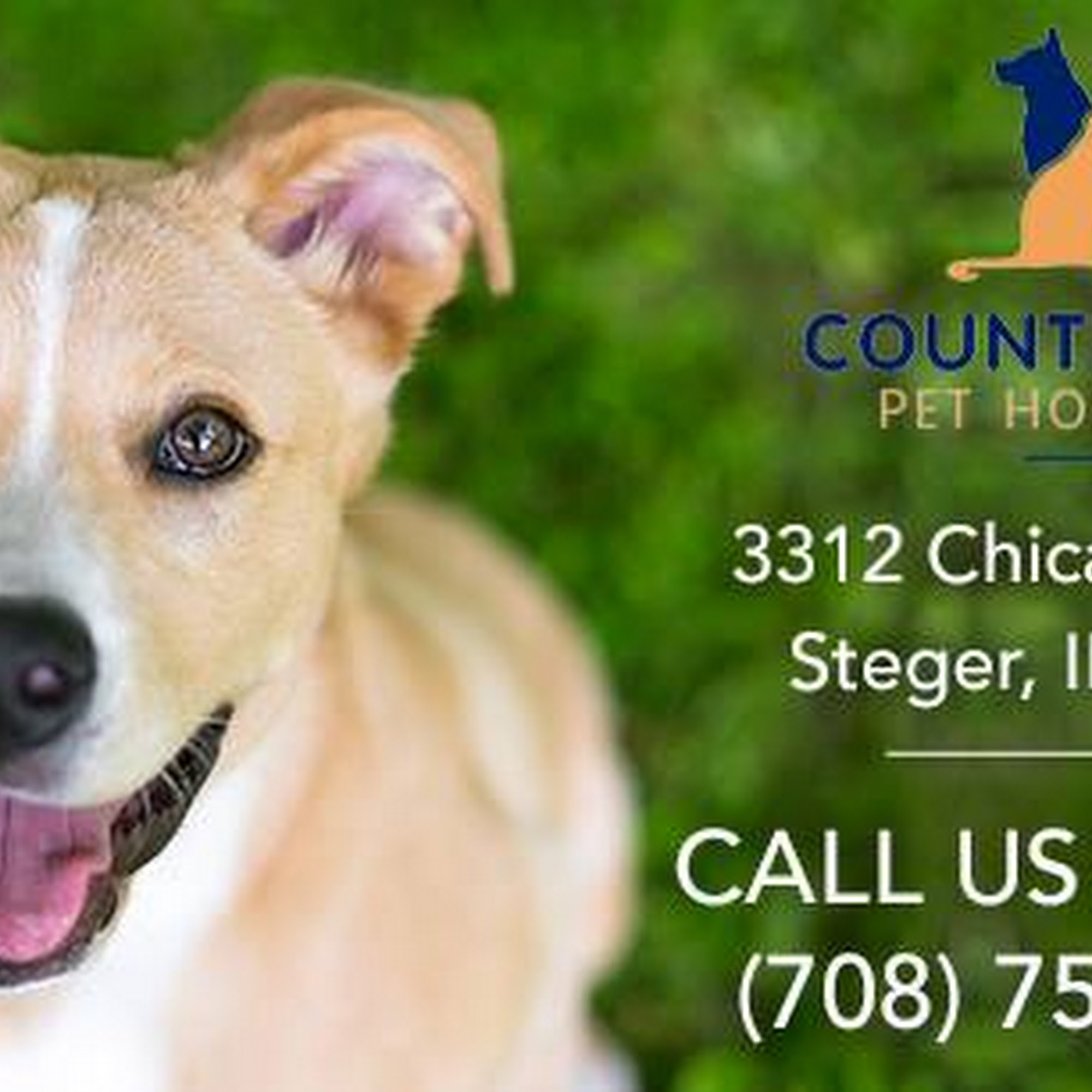 County Line Pet Hospital Steger
