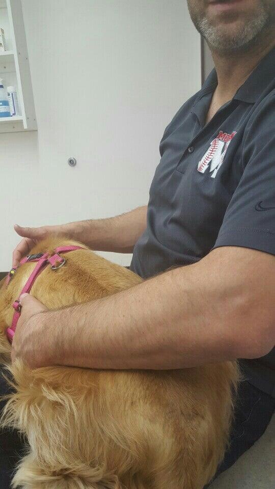 Kaskaskia Valley Animal Hospital Sullivan