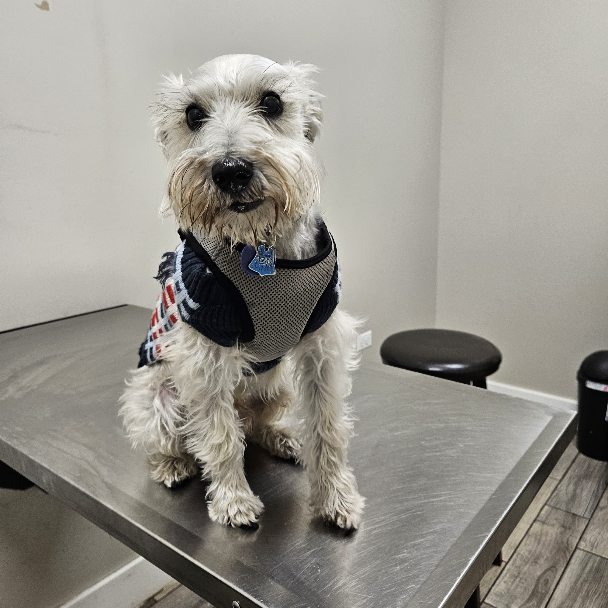 Summit Animal Hospital Summit