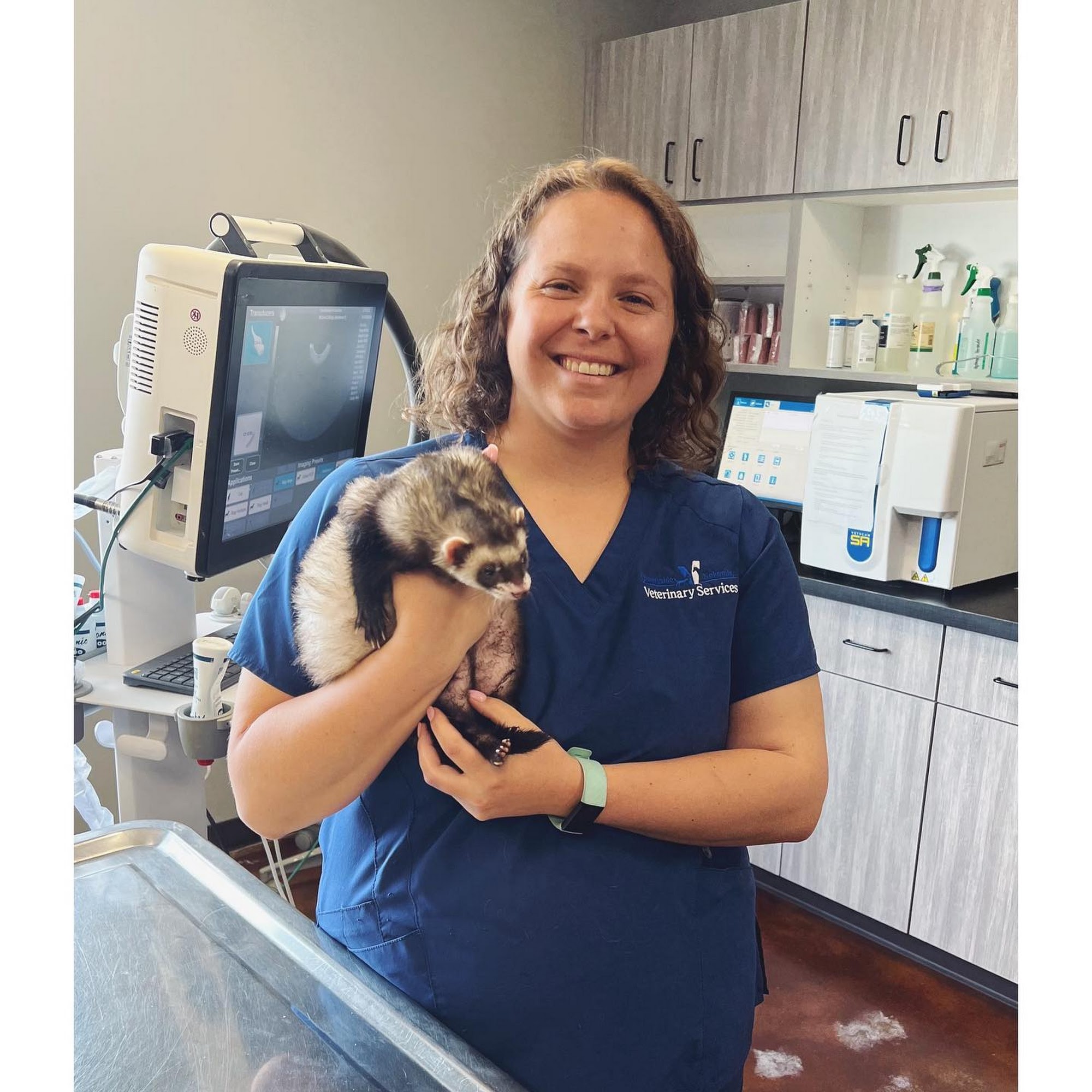 Countryside Veterinary Service Taylorville