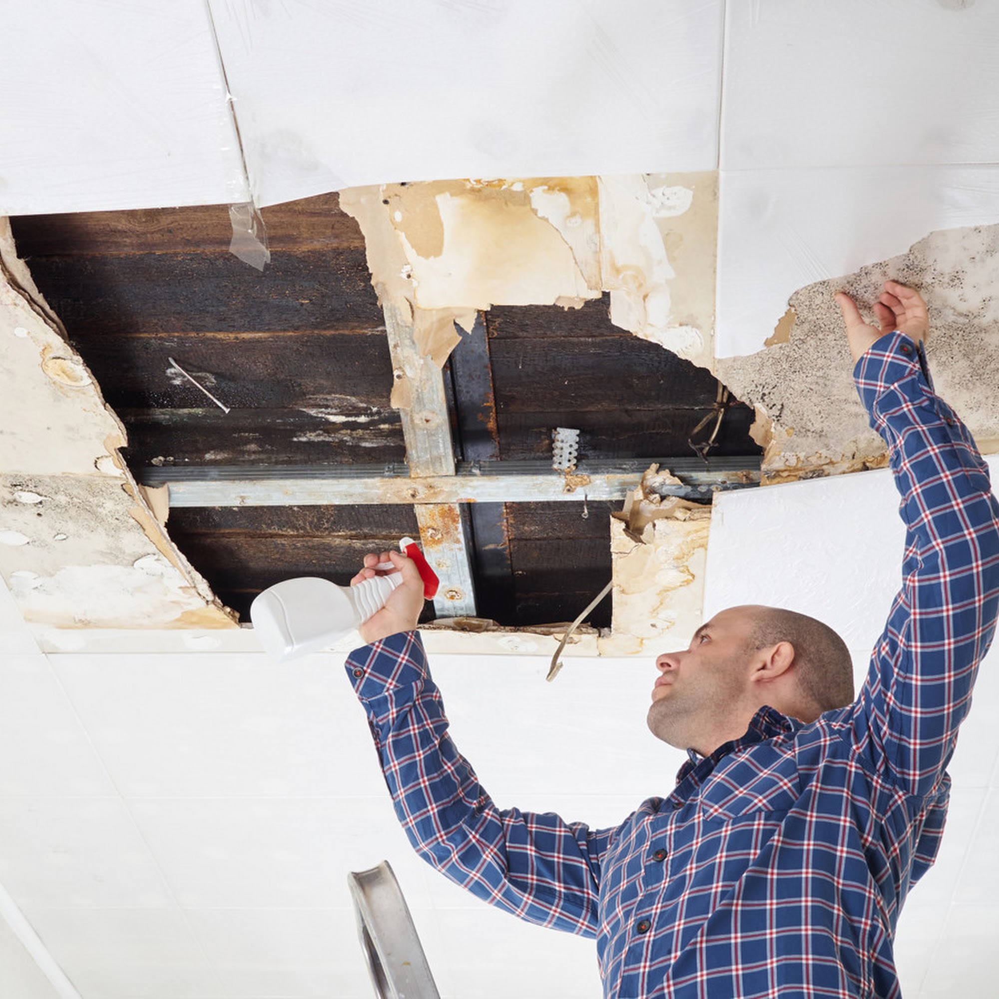 SERVPRO of Tinley Park