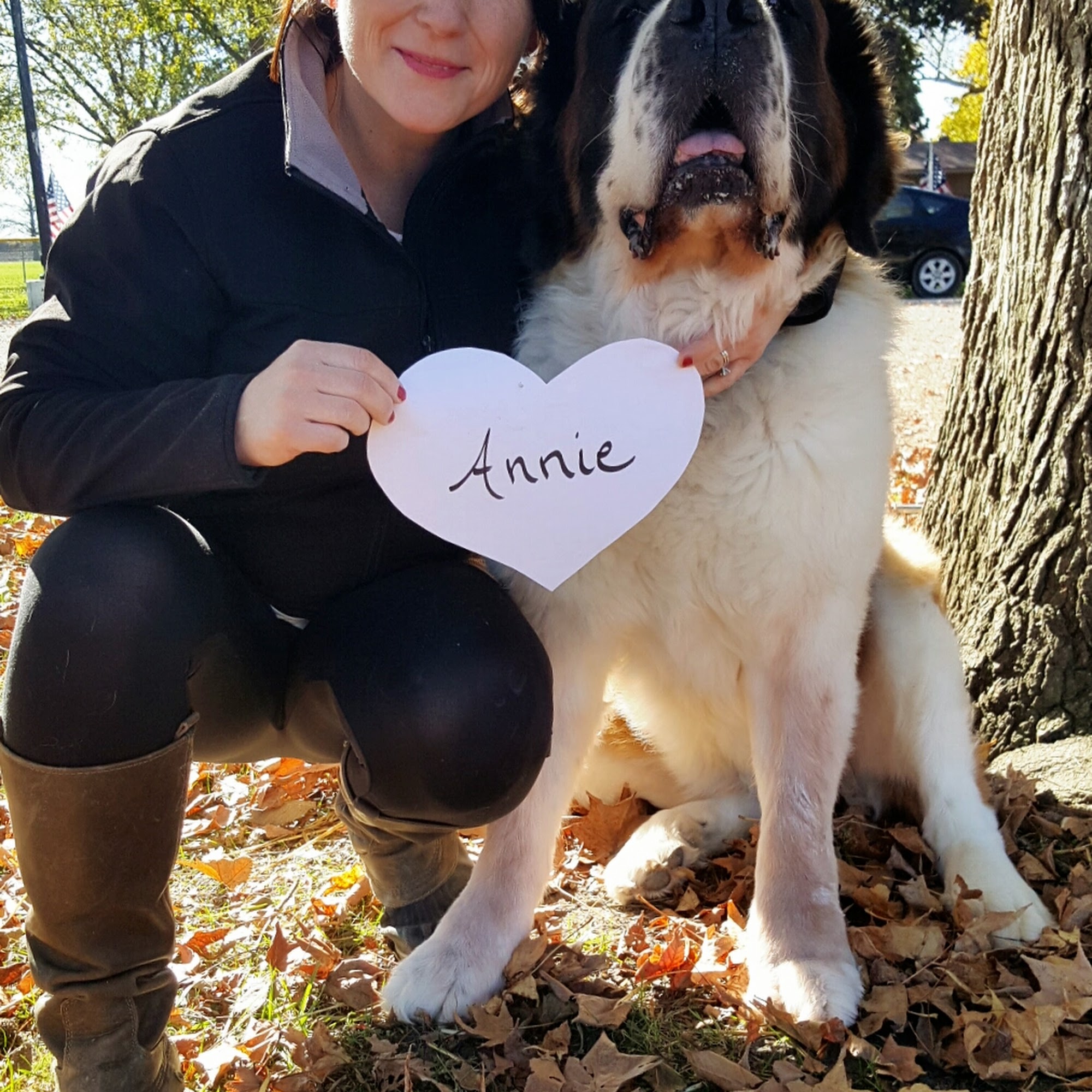 Johnson Veterinary Care, Inc. Trenton