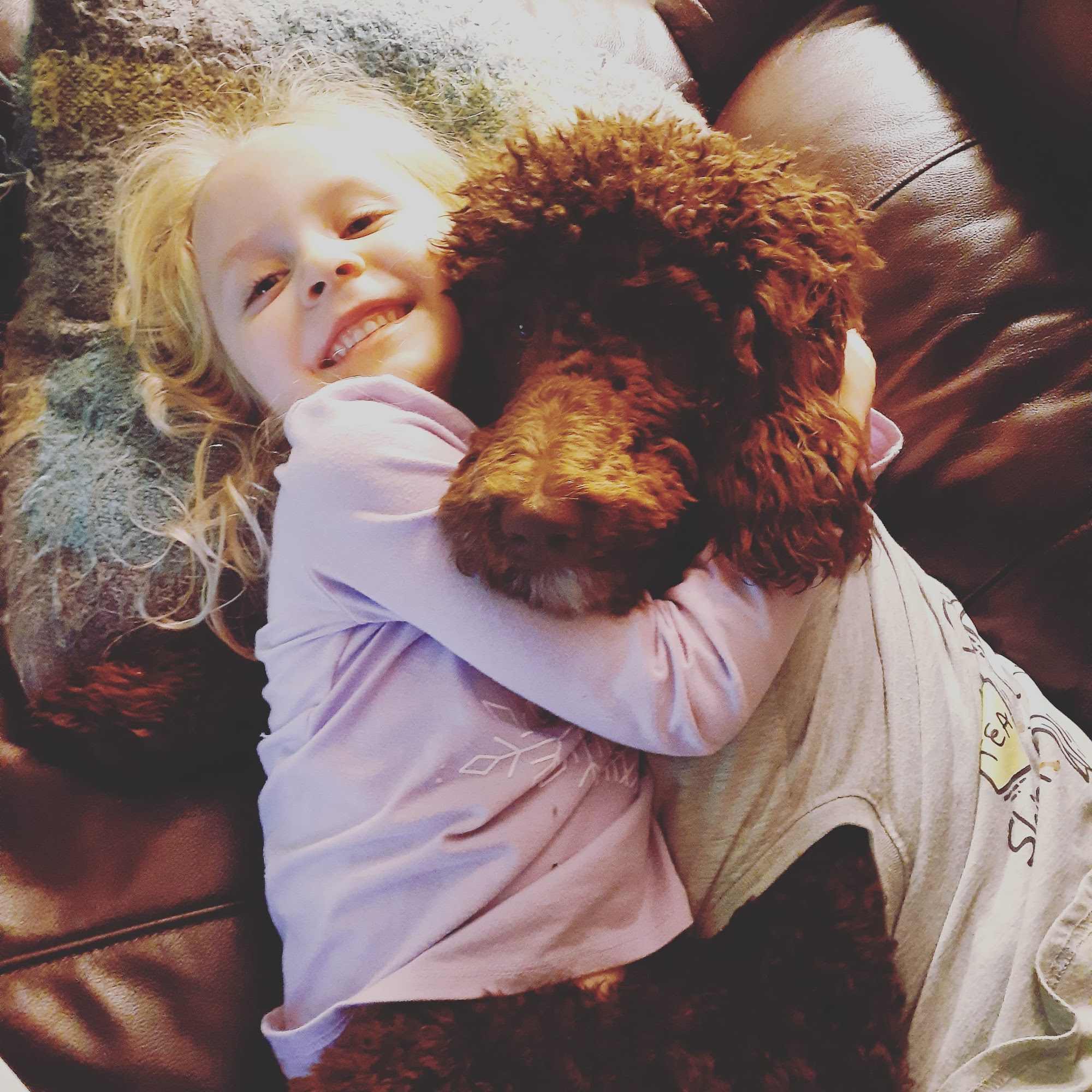 Troy Veterinary Clinic Troy