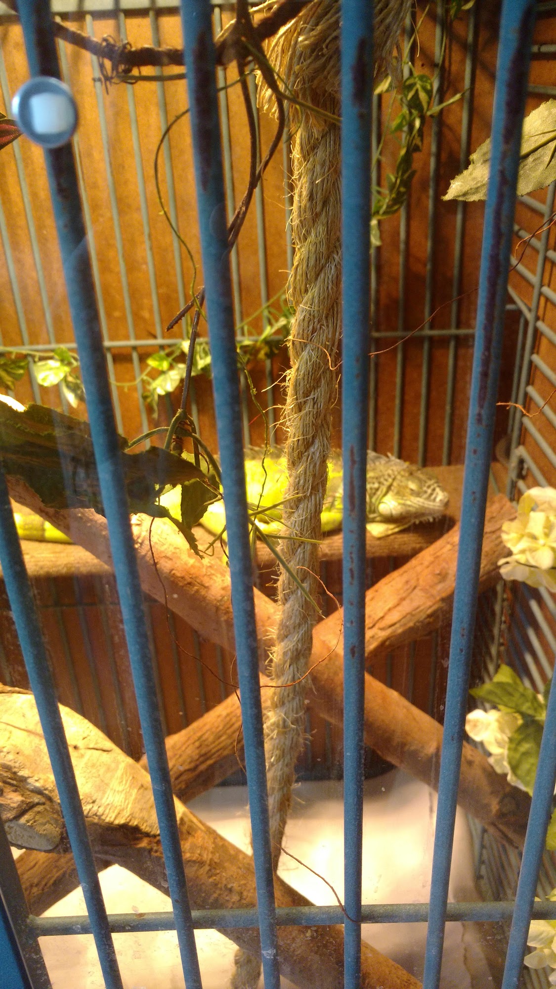 Heaton Heistand Vet Hospital Vandalia