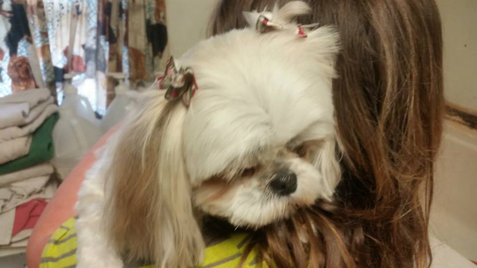 Joyce's Doggie Style