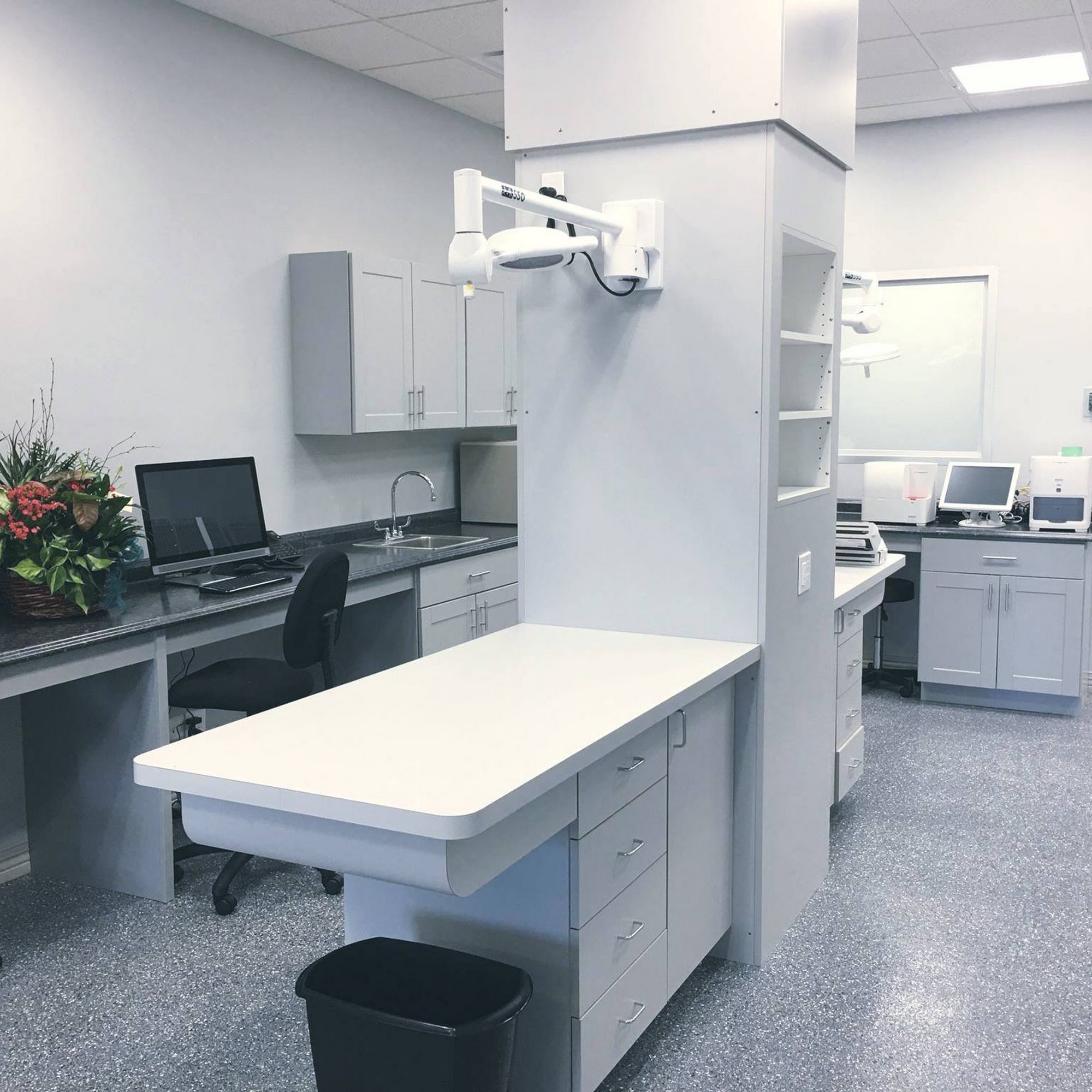 Townline Animal Hospital Vernon Hills