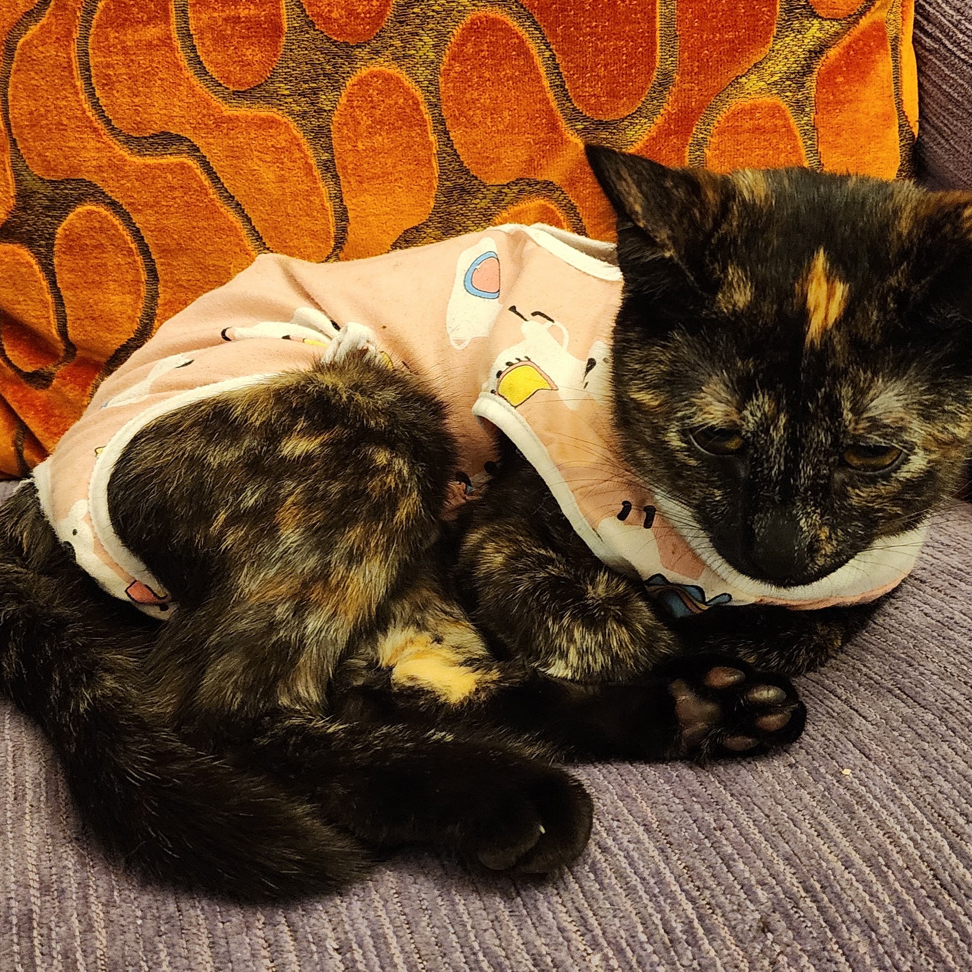 Ad Park Pet Clinic Villa Park