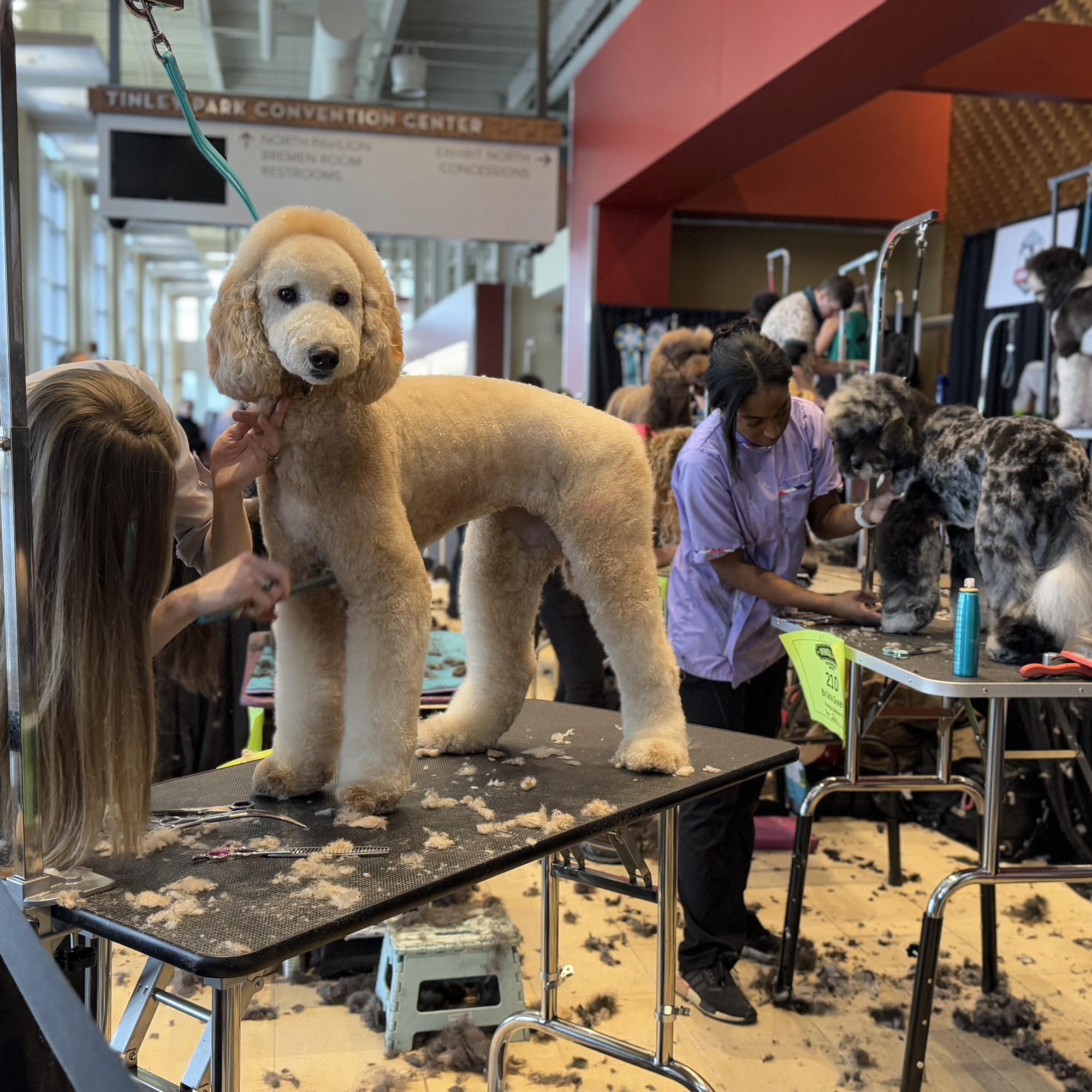 Canine Country Club Washington