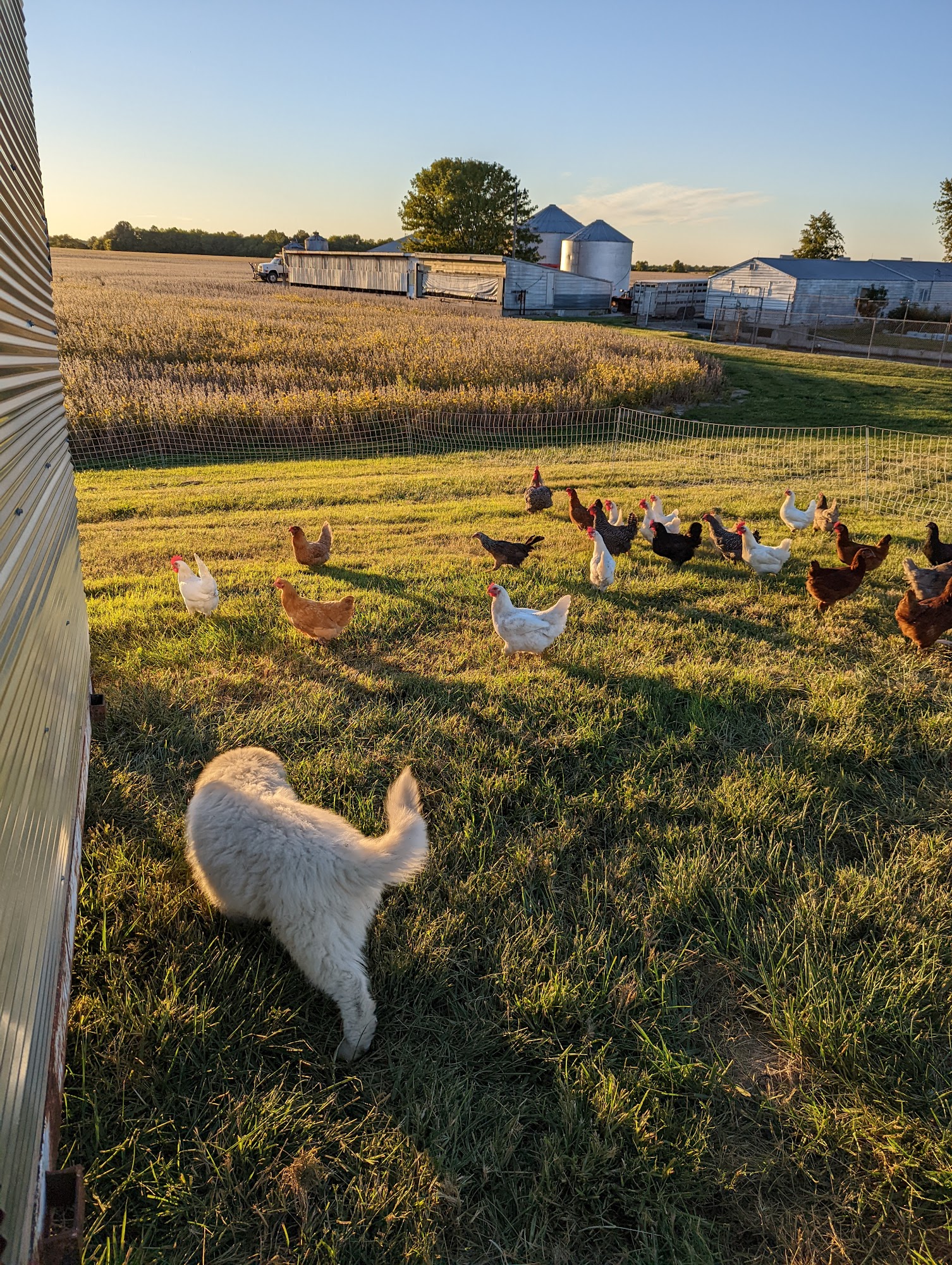 Spare Thyme Farms LLC Waterloo