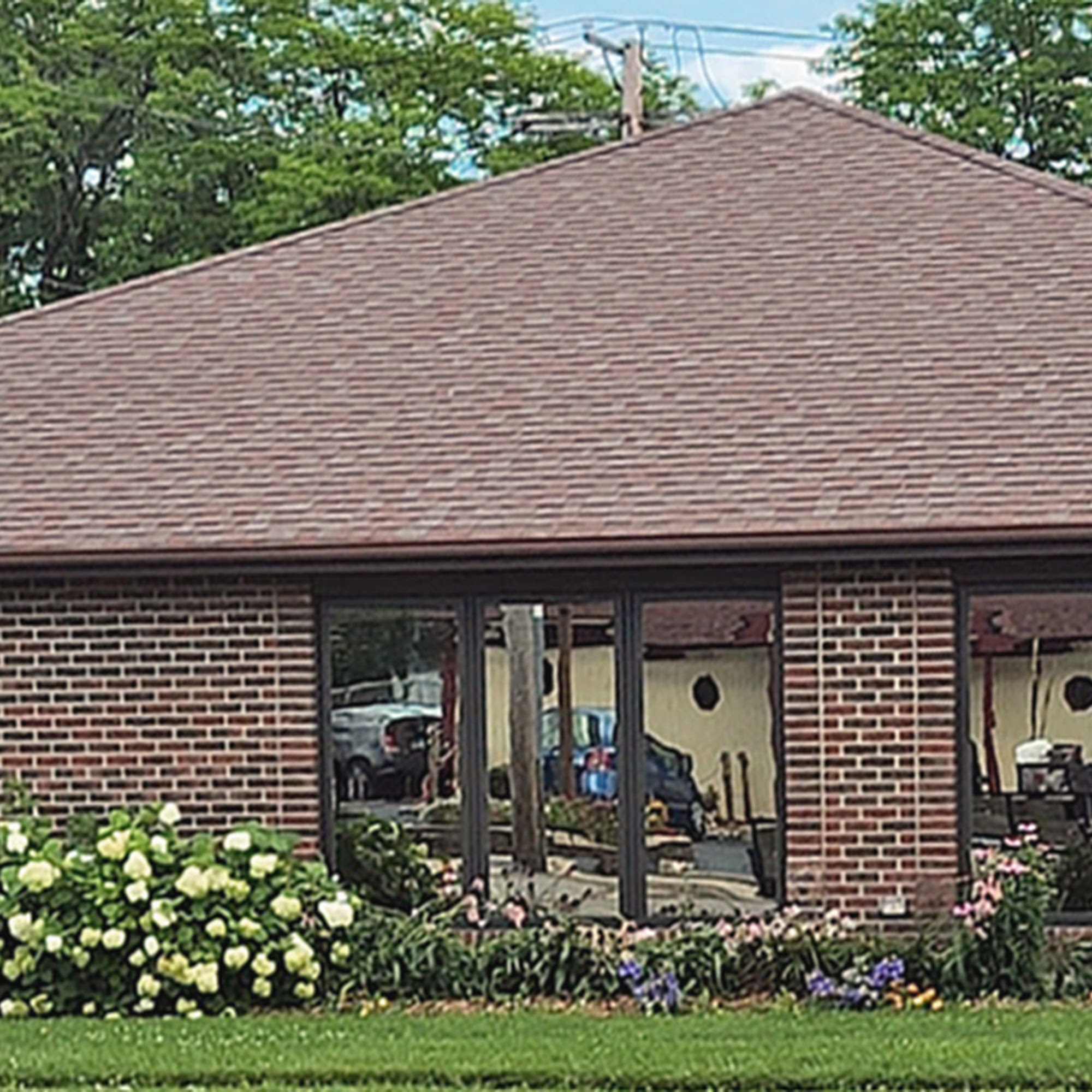 Waukegan Pet Clinic Waukegan