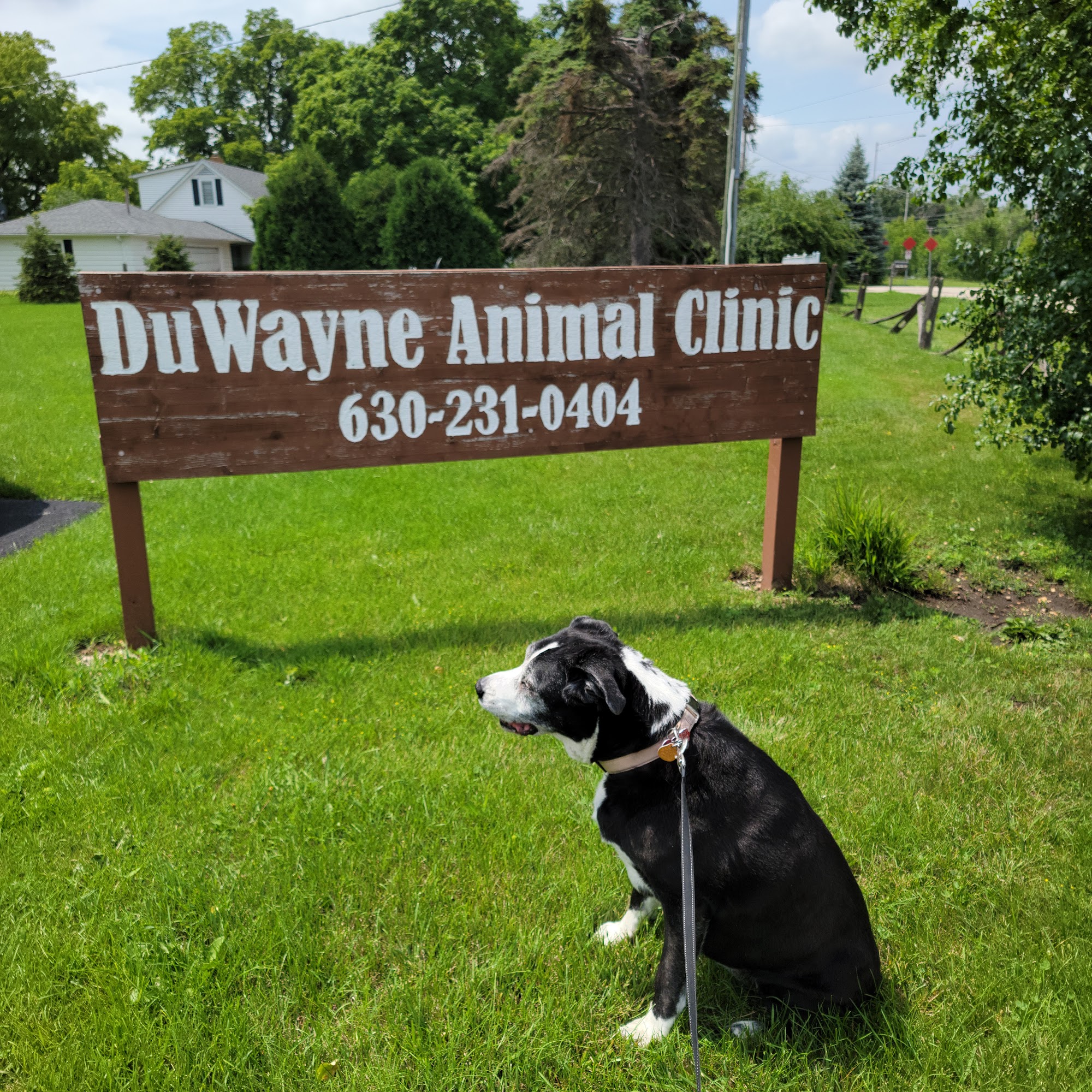 Duwayne Animal Clinic West Chicago