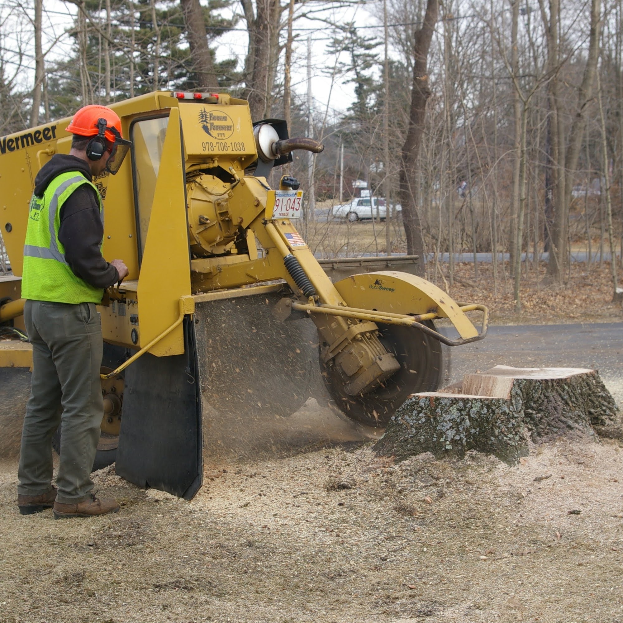 Steve's Tree Service 1N638 Center Ave, West Chicago Illinois 60185