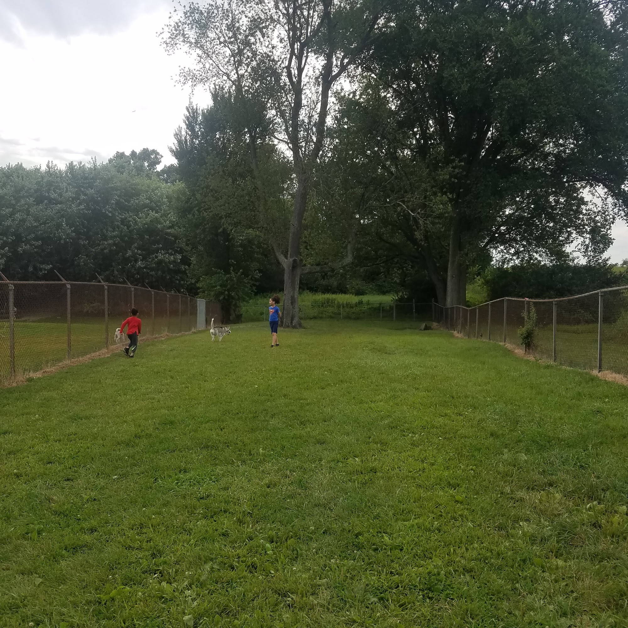 Schweitzer Woods Forest Preserve West Dundee