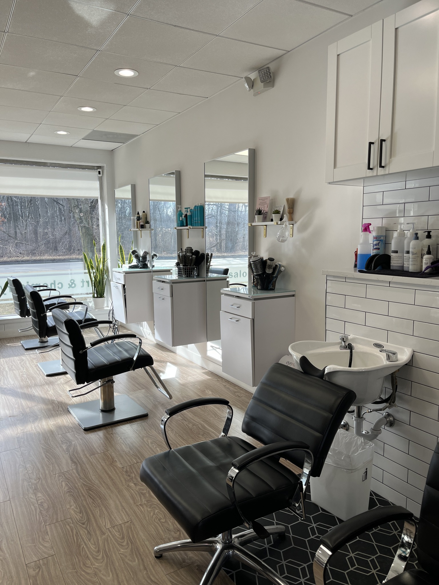 Art & Chemistry Salon