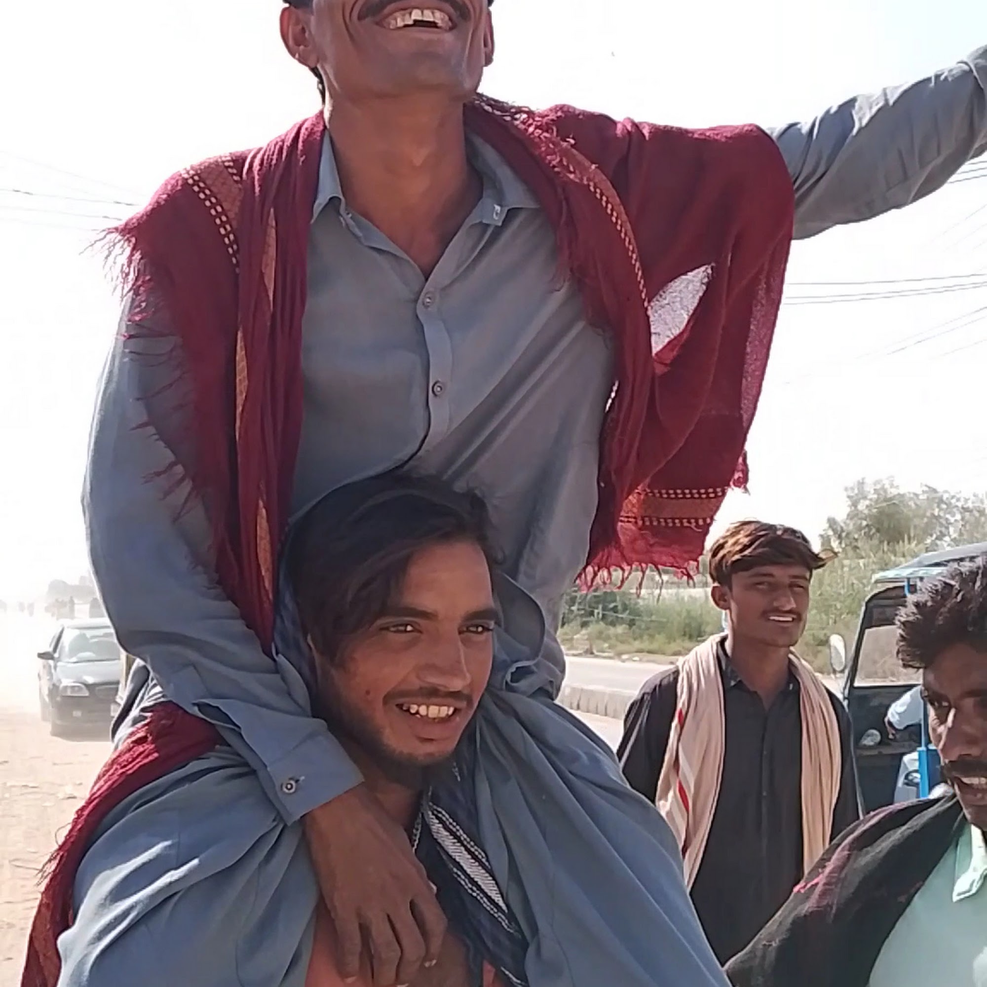 Abbeywood Cat Hospital Westmont