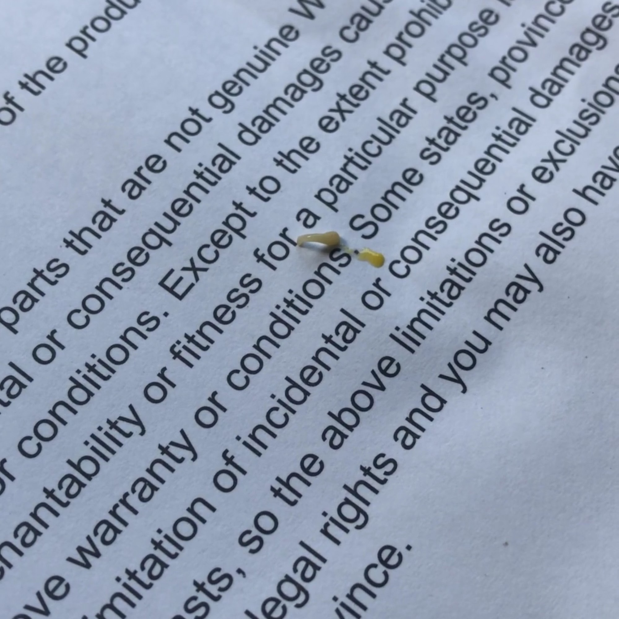 St. Sophia's Forgotten Felines Wheaton